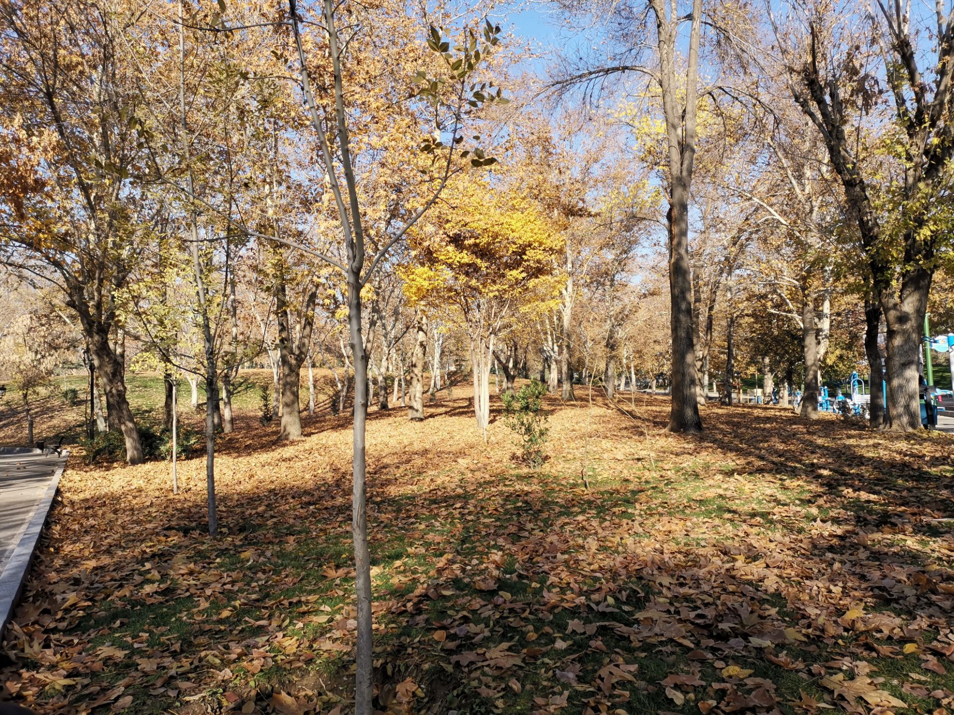 نمونه عکس میت ۲۰ - 1X