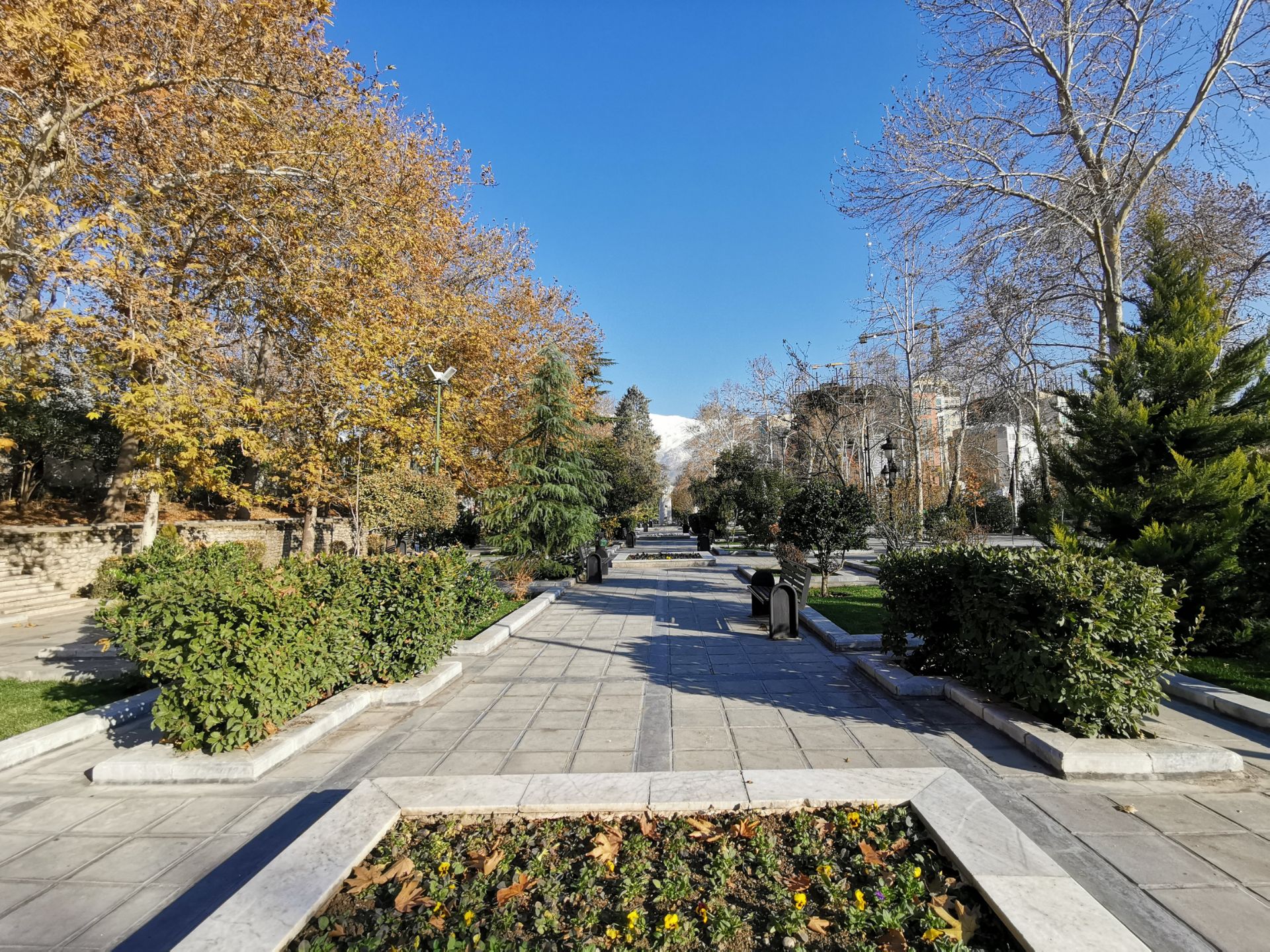 نمونه عکس میت ۲۰ در طول روز