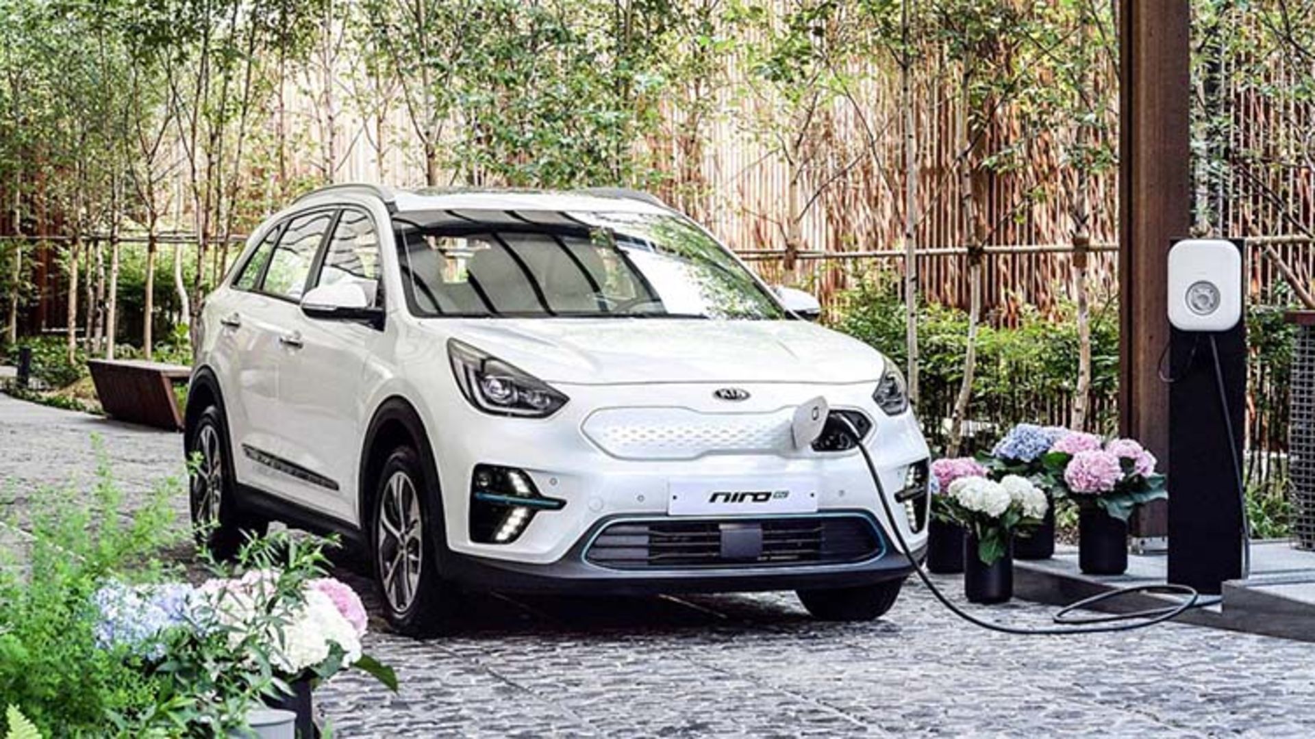 KIA NIRO EV / کیا نیرو برقی