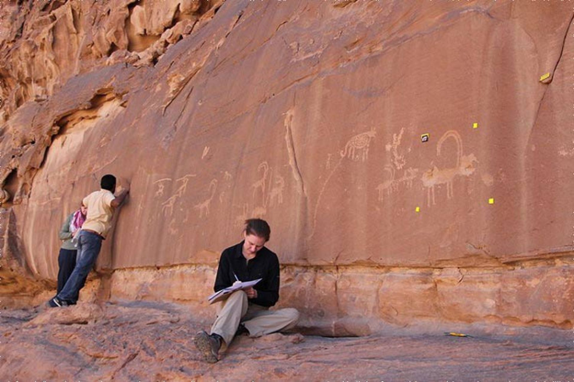 تیم تحقیقاتی