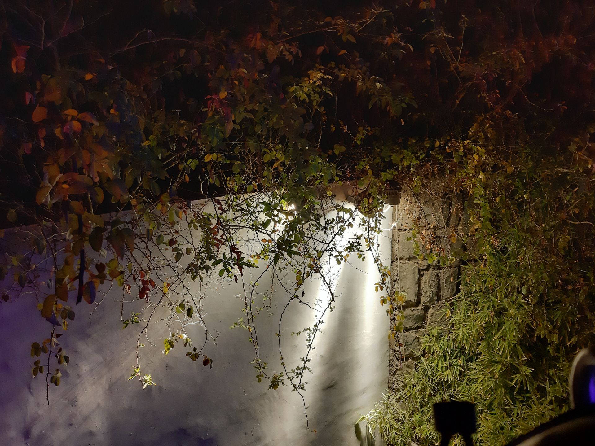 نمونه‌عکس گلکسی A7 2018