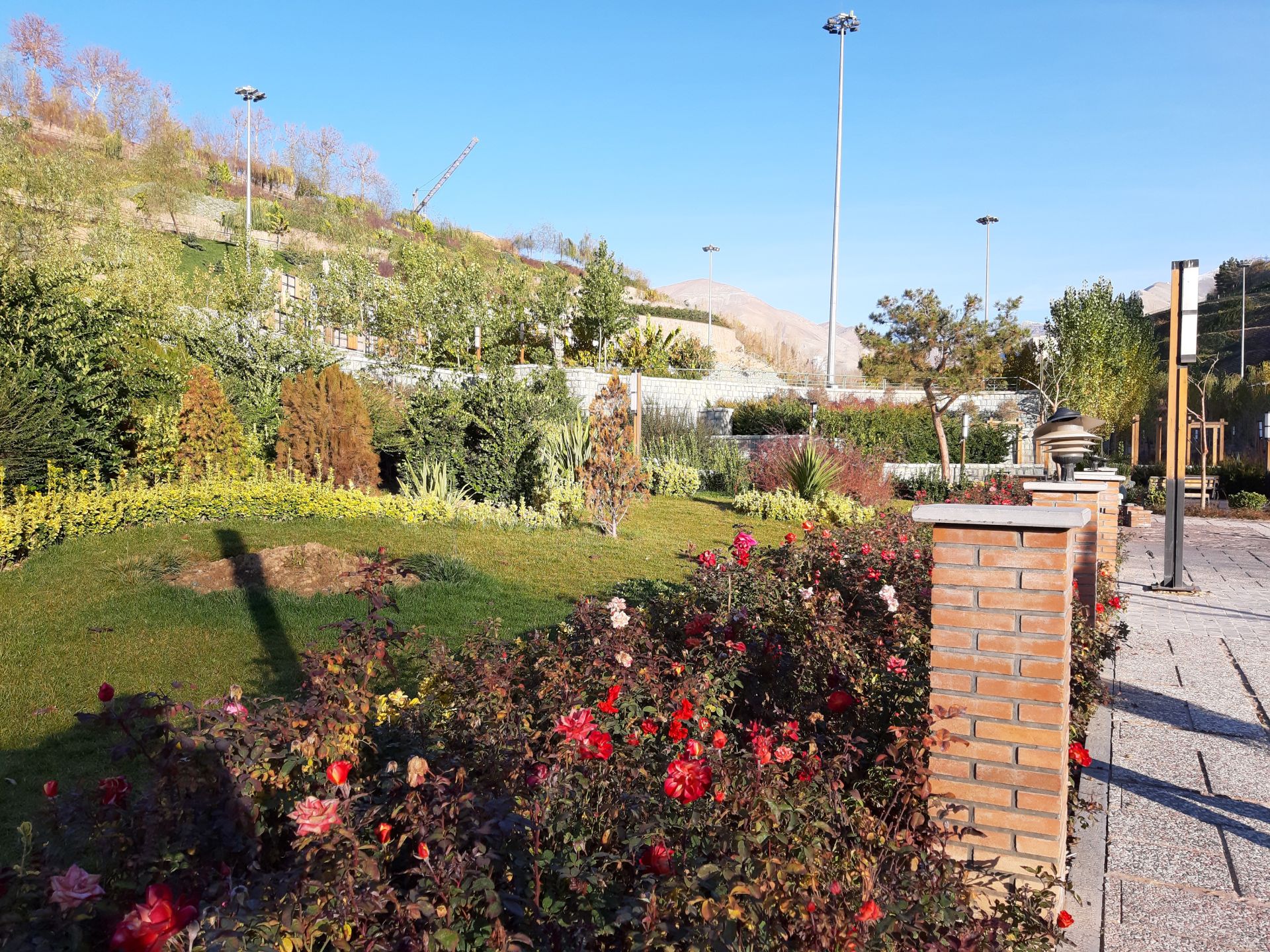 نمونه عکس گلکسی A7 2018