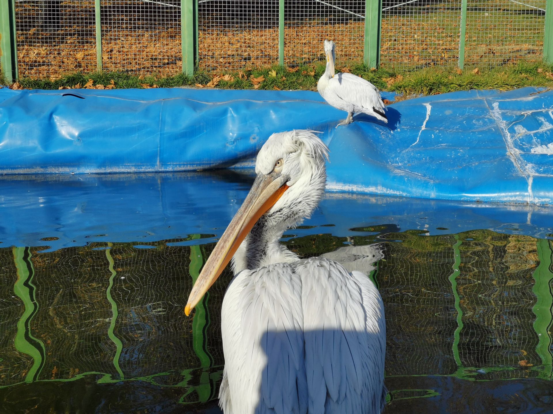 نمونه عکس میت ۲۰ در طول روز