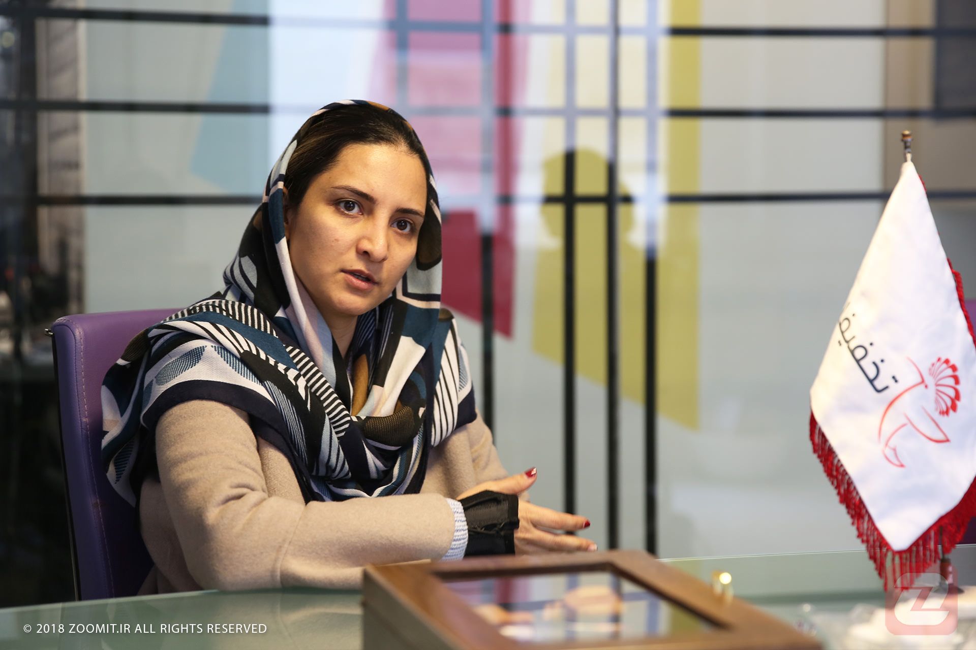 نازنین دانشور - تخفیفان