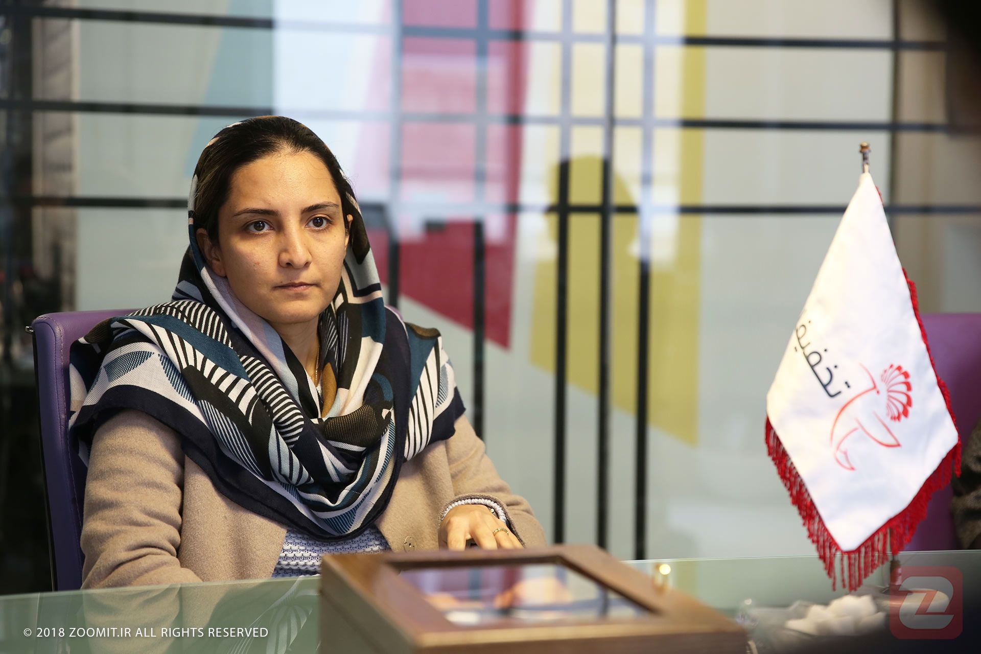 نازنین دانشور - تخفیفان