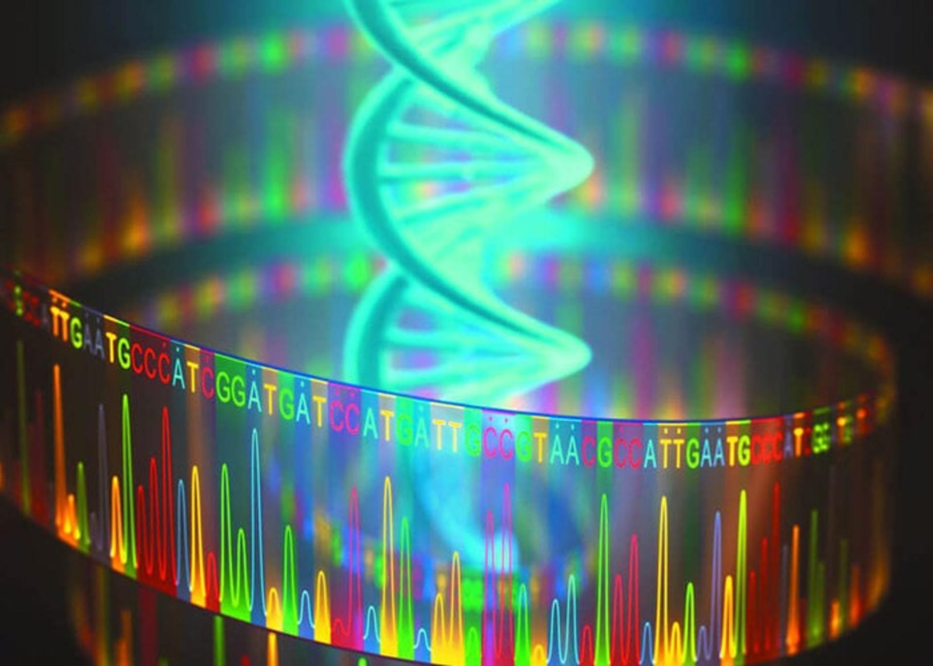 DNA