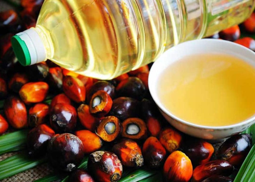 روغن نخل روغنی