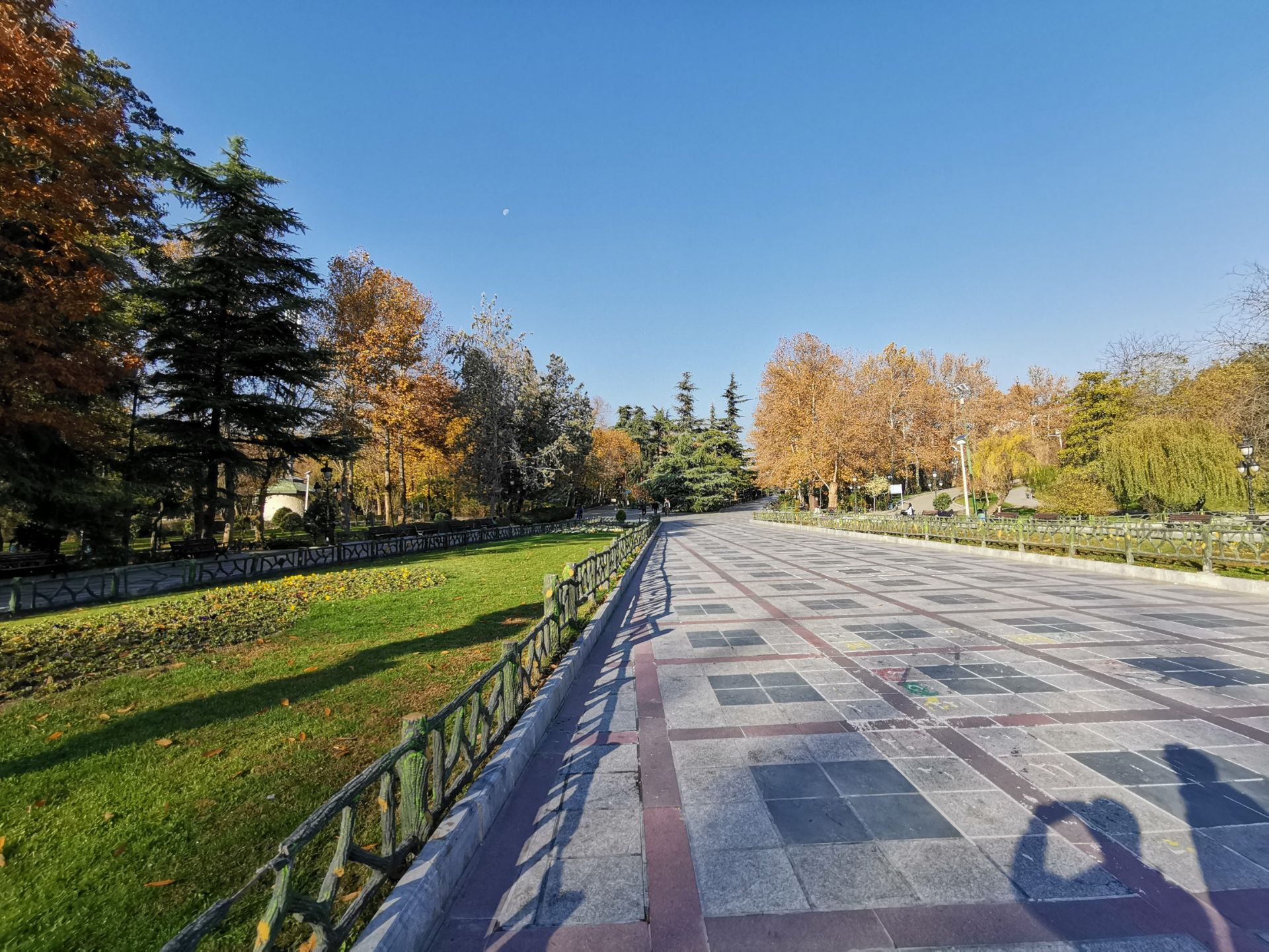 نمونه عکس میت ۲۰ در طول روز