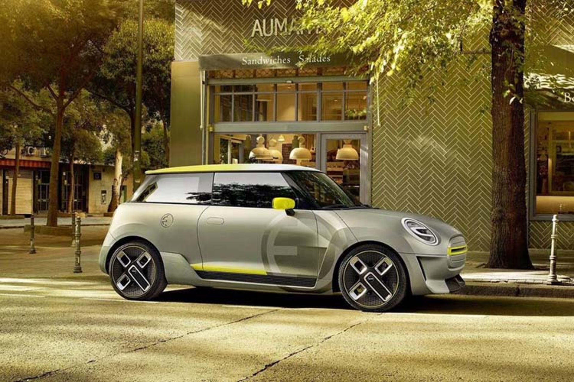 MINI ELECTRIC / مینی الکتریک