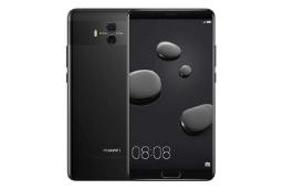 mate 10