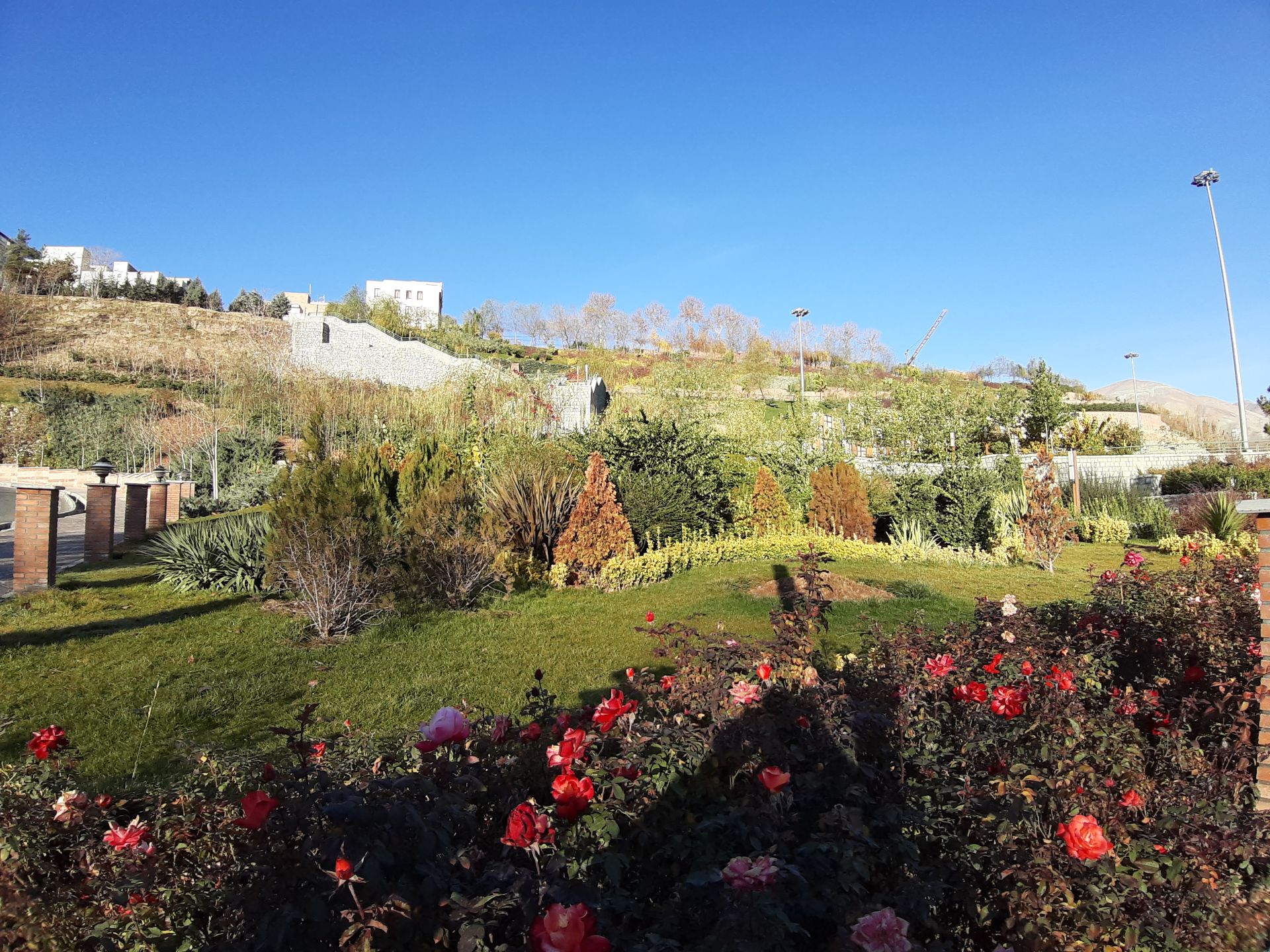 نمونه‌عکس واید گلکسی A7 2018