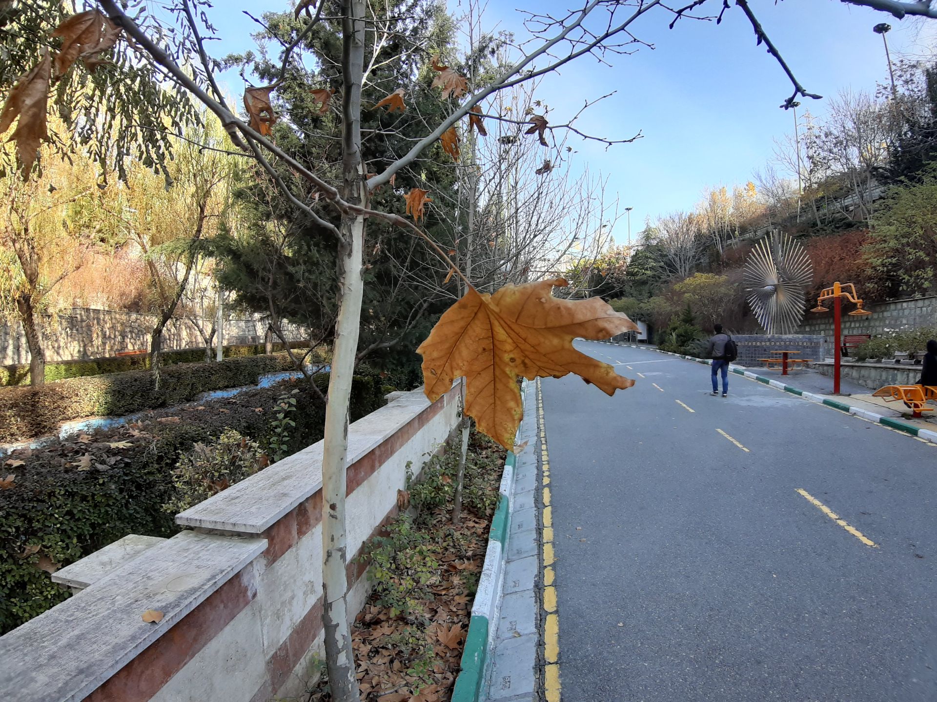 نمونه‌عکس واید گلکسی A7 2018