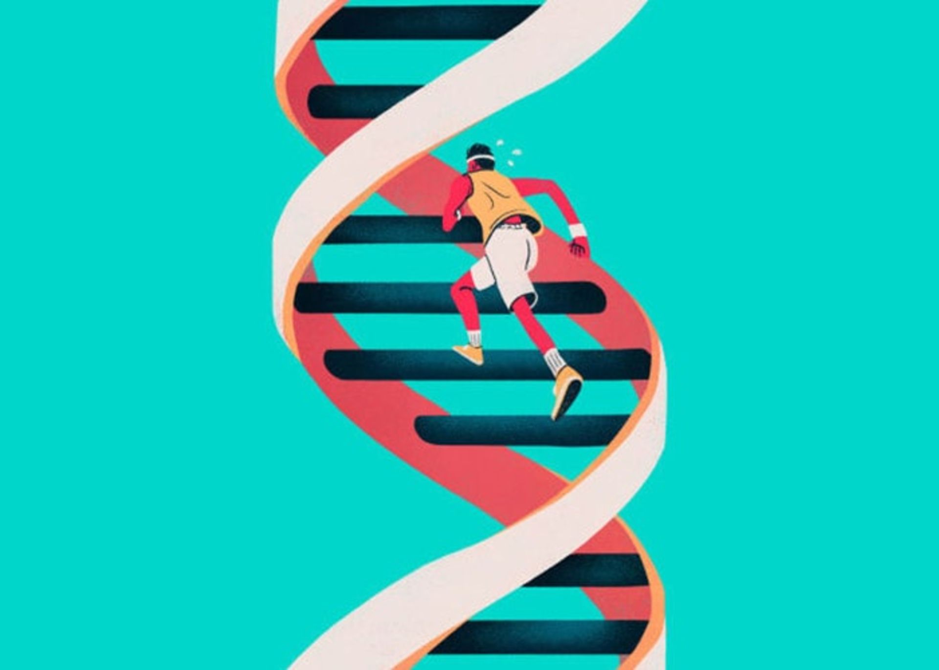 DNA