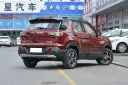 BISU T3