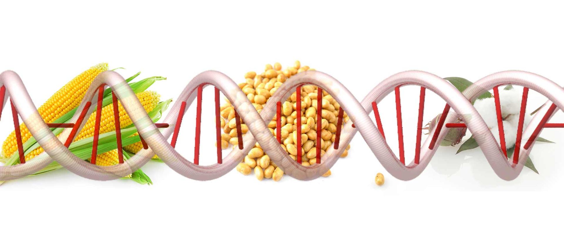 مهندسی ژنتیک / Genetic engineering