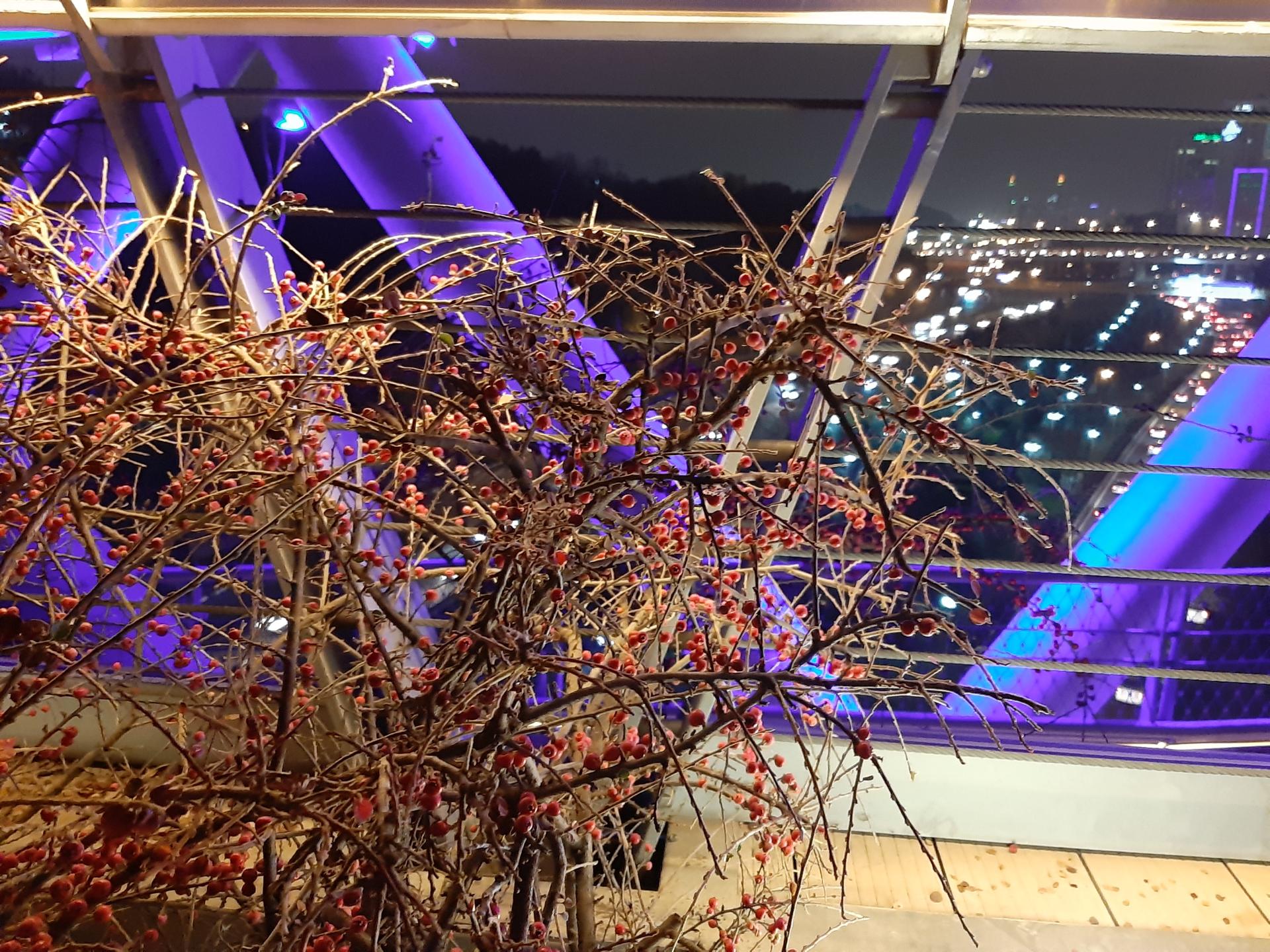نمونه‌عکس گلکسی A7 2018
