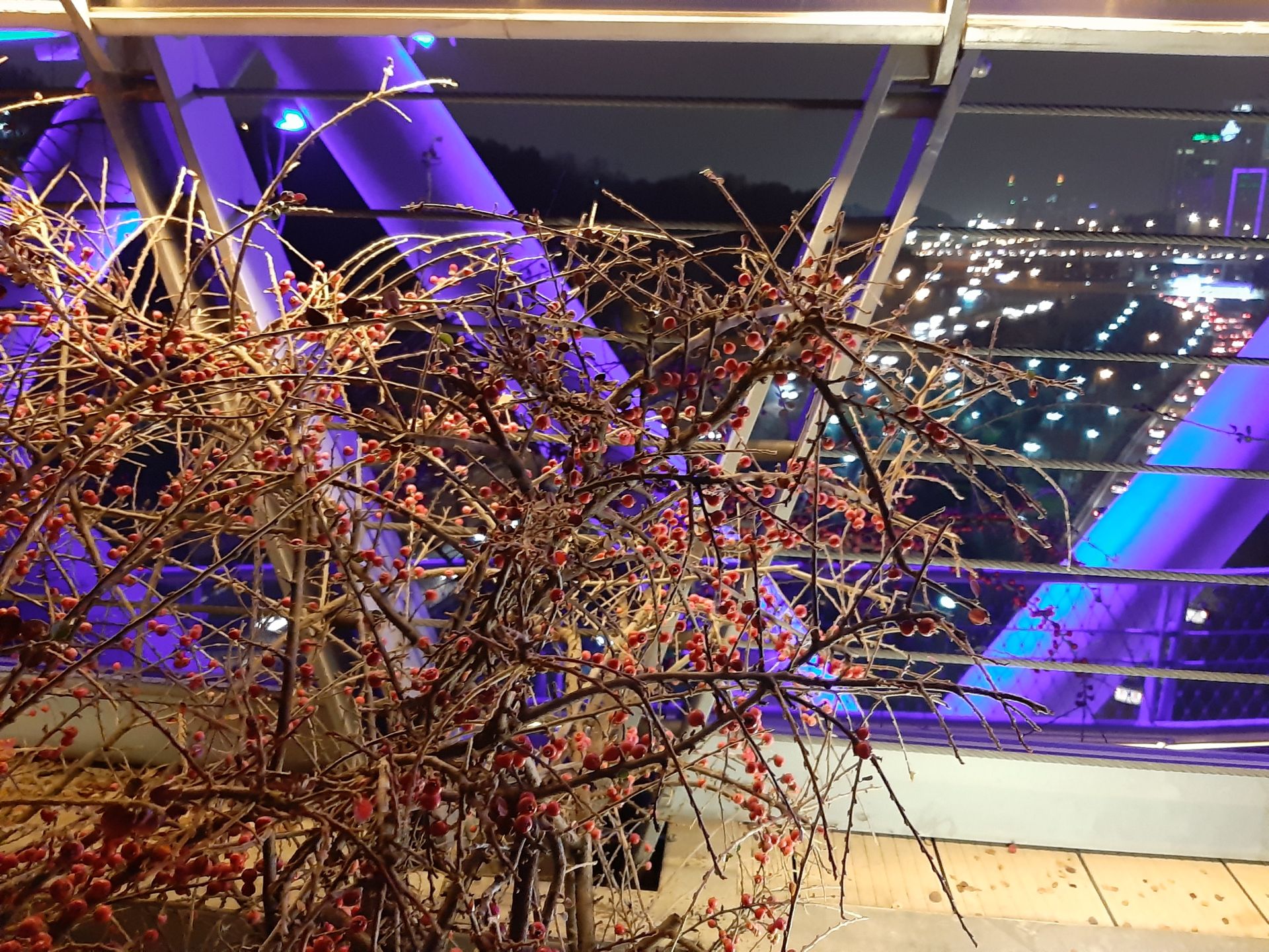 نمونه‌عکس گلکسی A7 2018