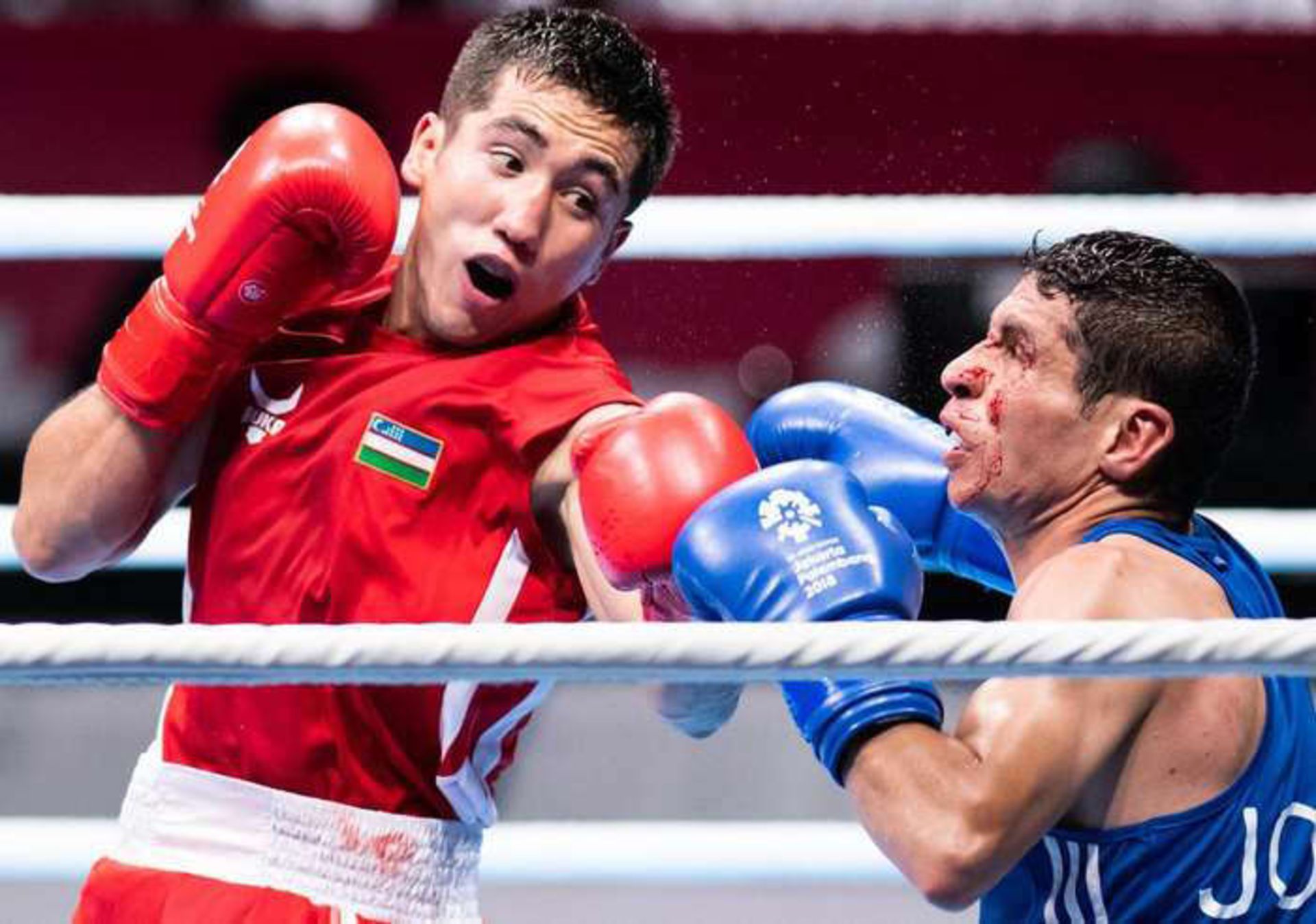 عکاسی ورزشی بوکس sport photography