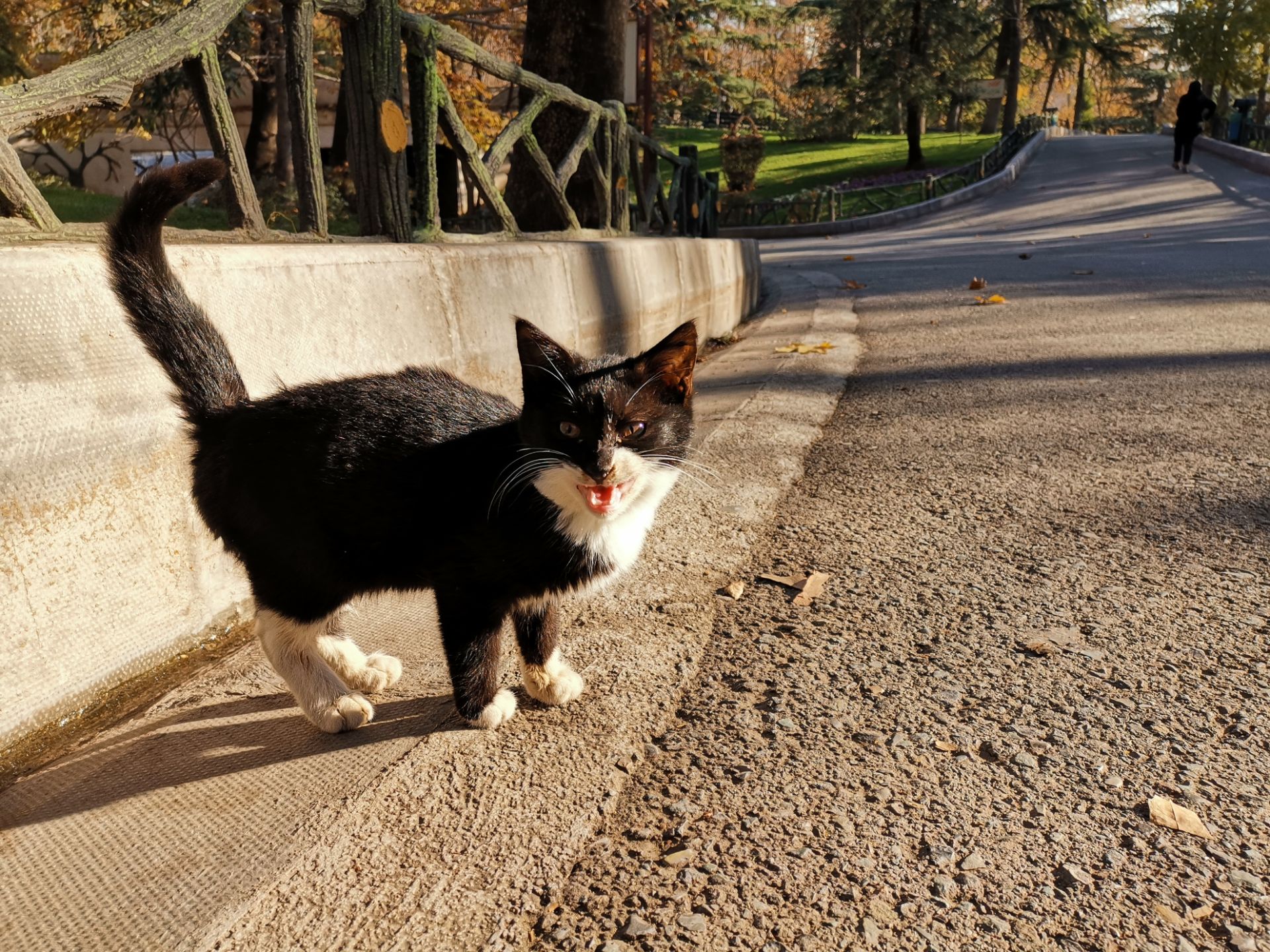 نمونه عکس میت ۲۰ در طول روز