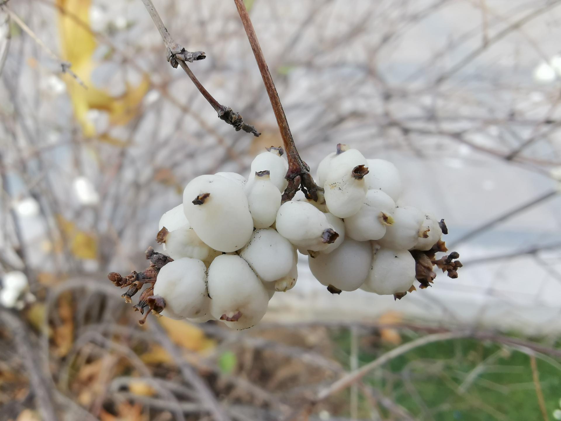 نمونه عکس میت ۲۰ در طول روز