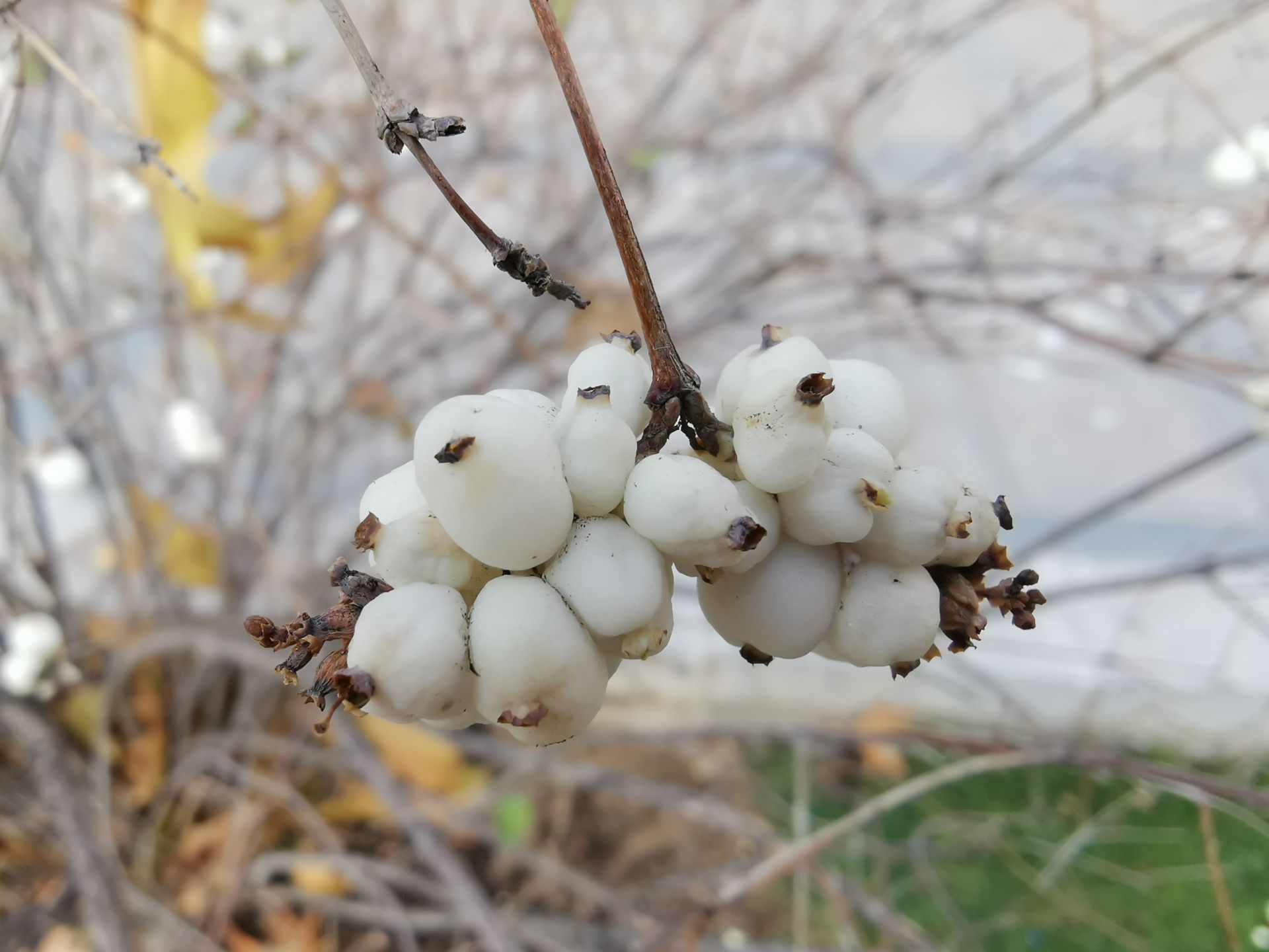 نمونه عکس میت ۲۰ در طول روز