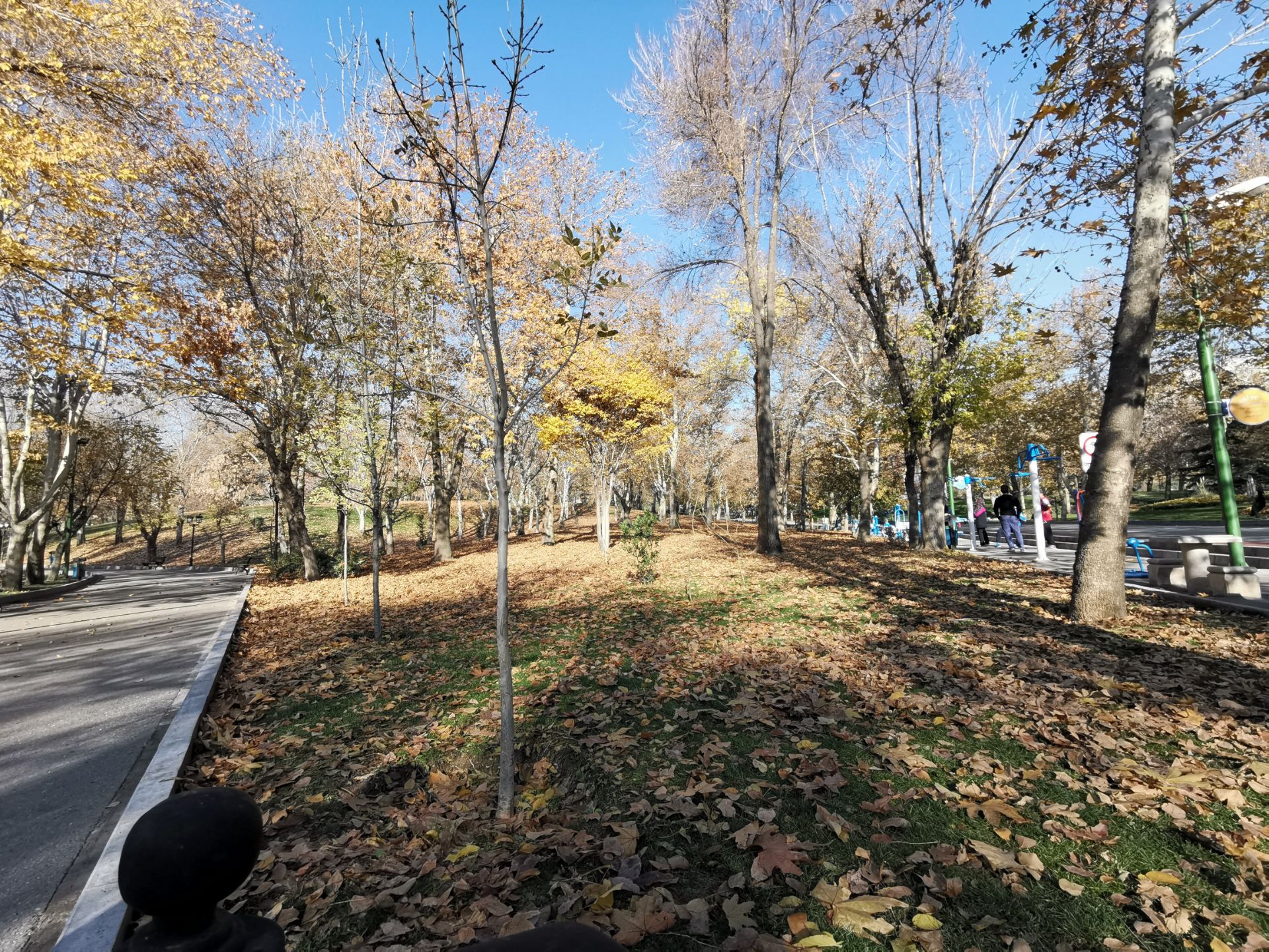 نمونه عکس میت ۲۰ - 0.6X