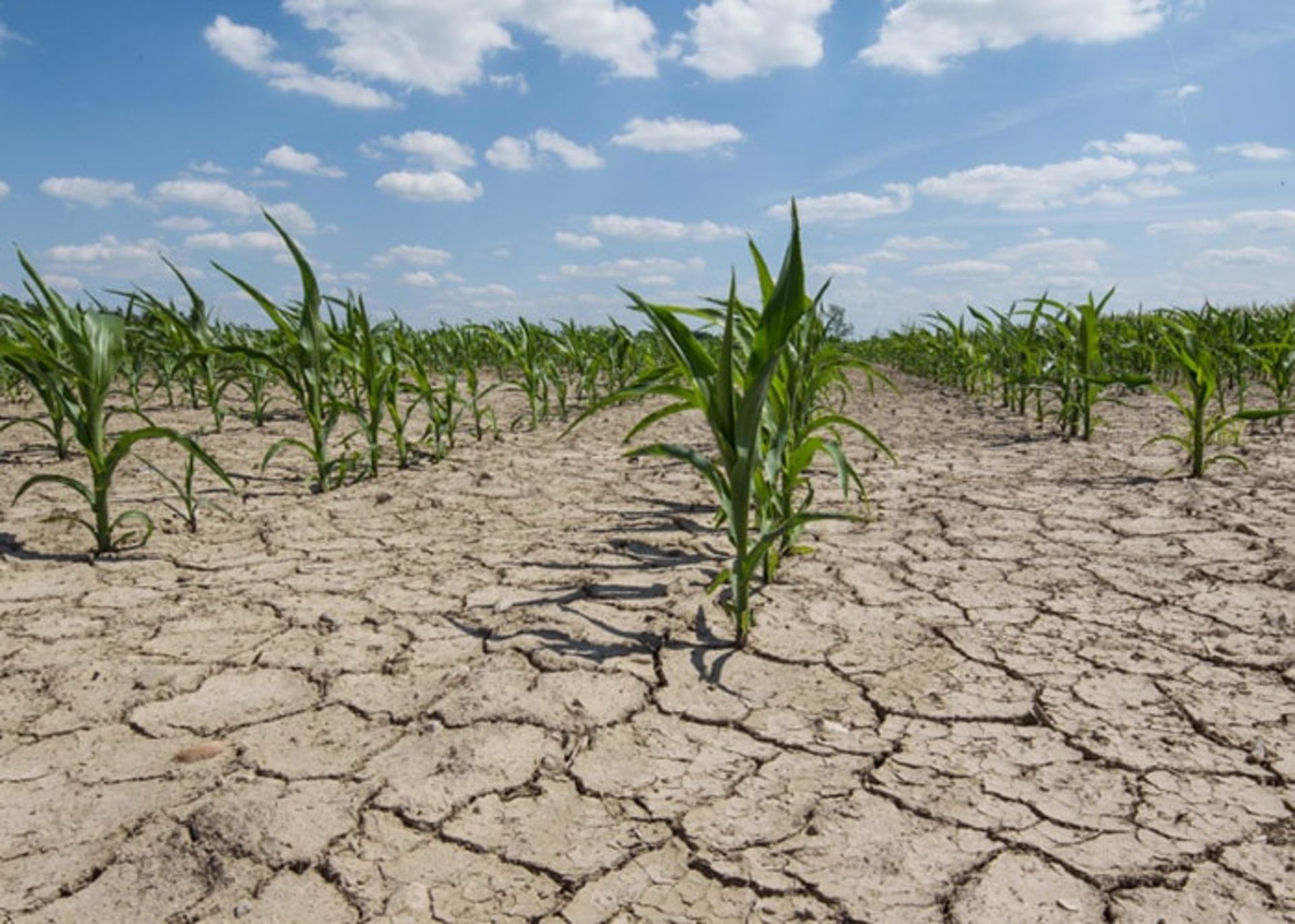 تاثیرات تغییرات اقلیمی