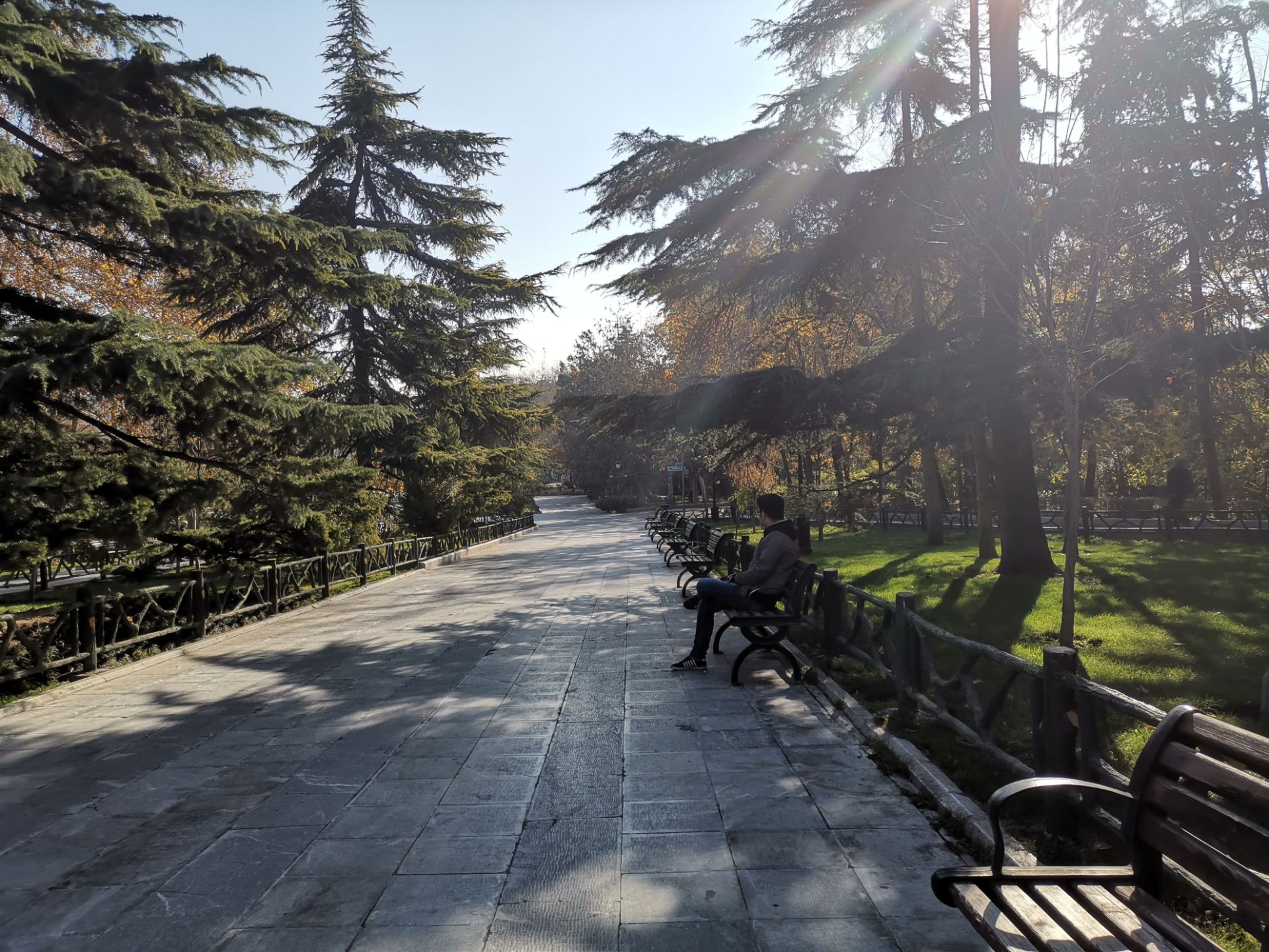 نمونه عکس میت ۲۰ در طول روز