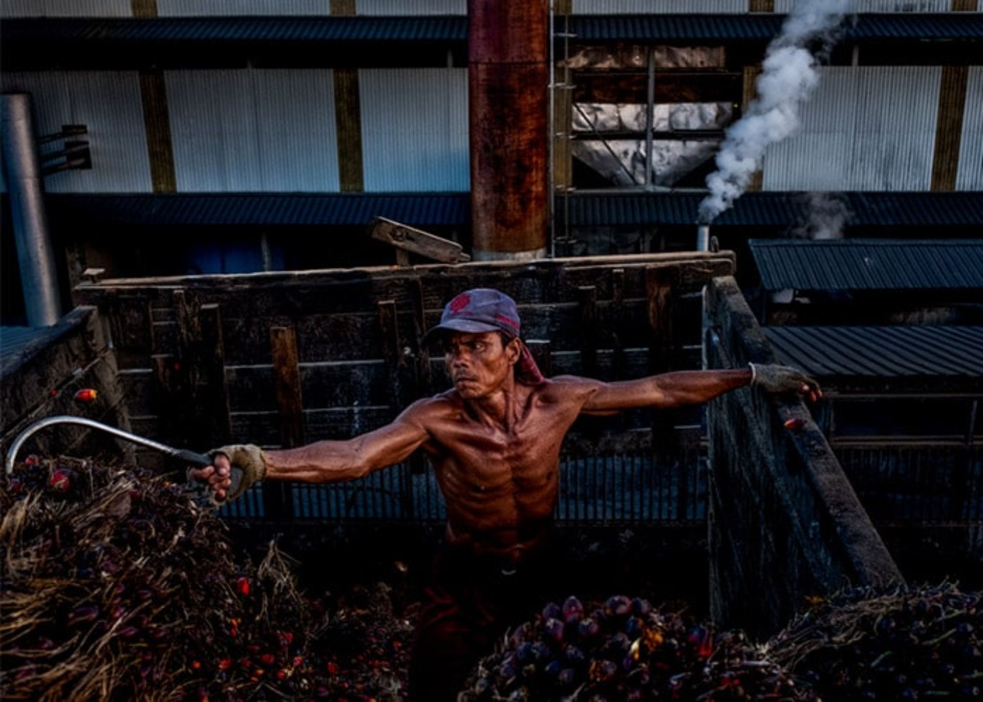 کارگر کارخانه روغن نخل