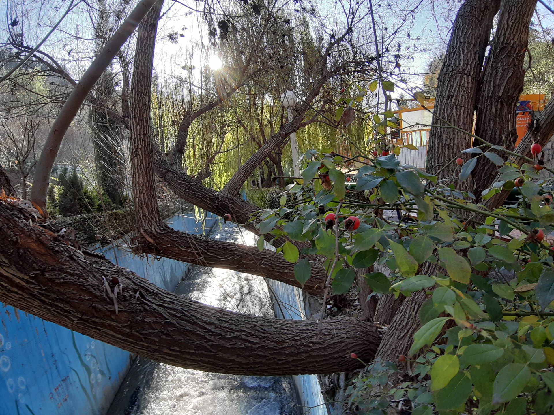 نمونه‌عکس واید گلکسی A7 2018