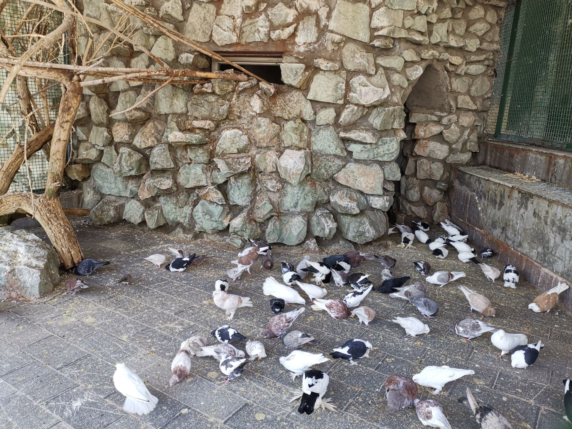 نمونه عکس میت ۲۰ در طول روز