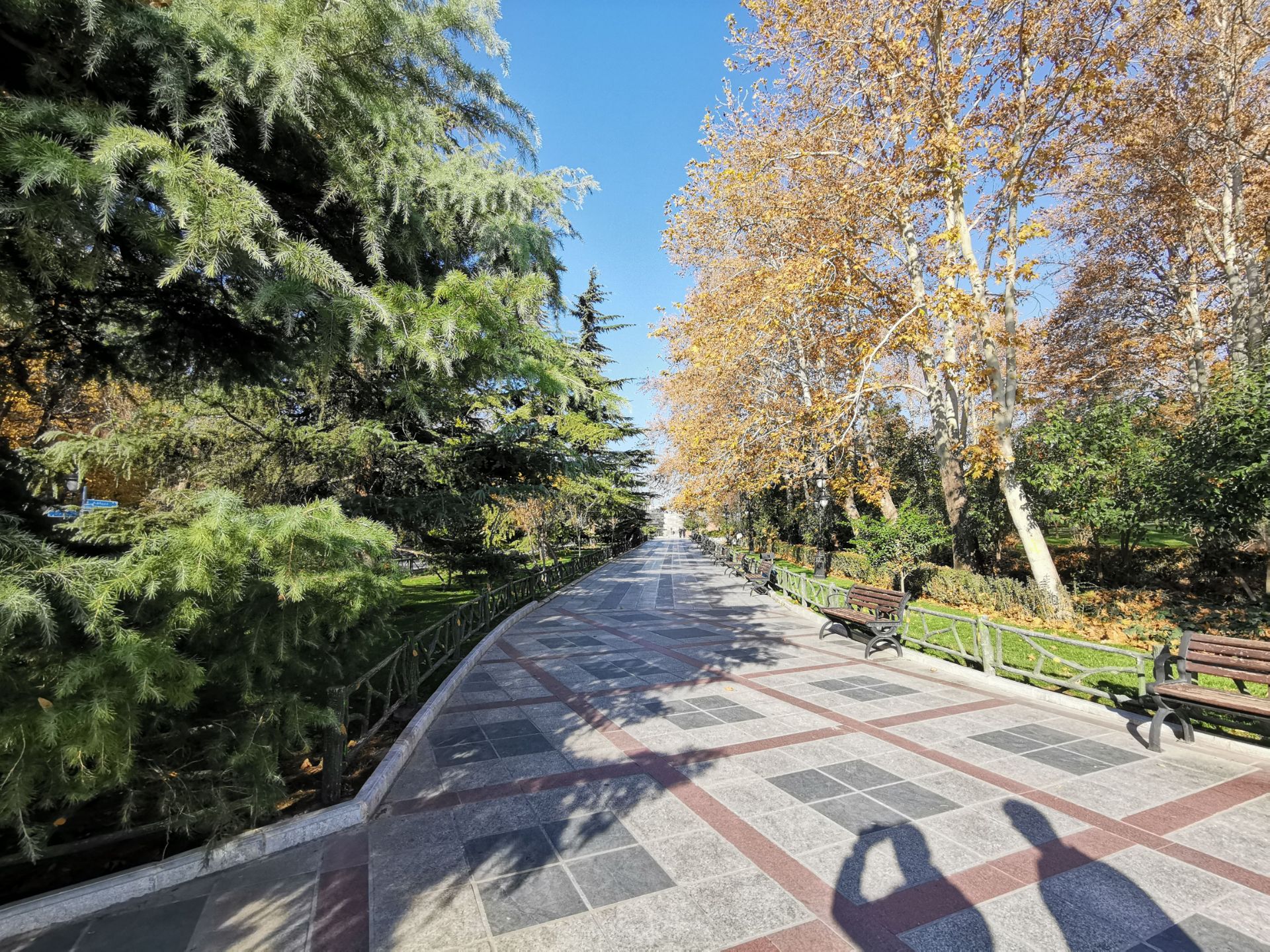 نمونه عکس میت ۲۰ در طول روز