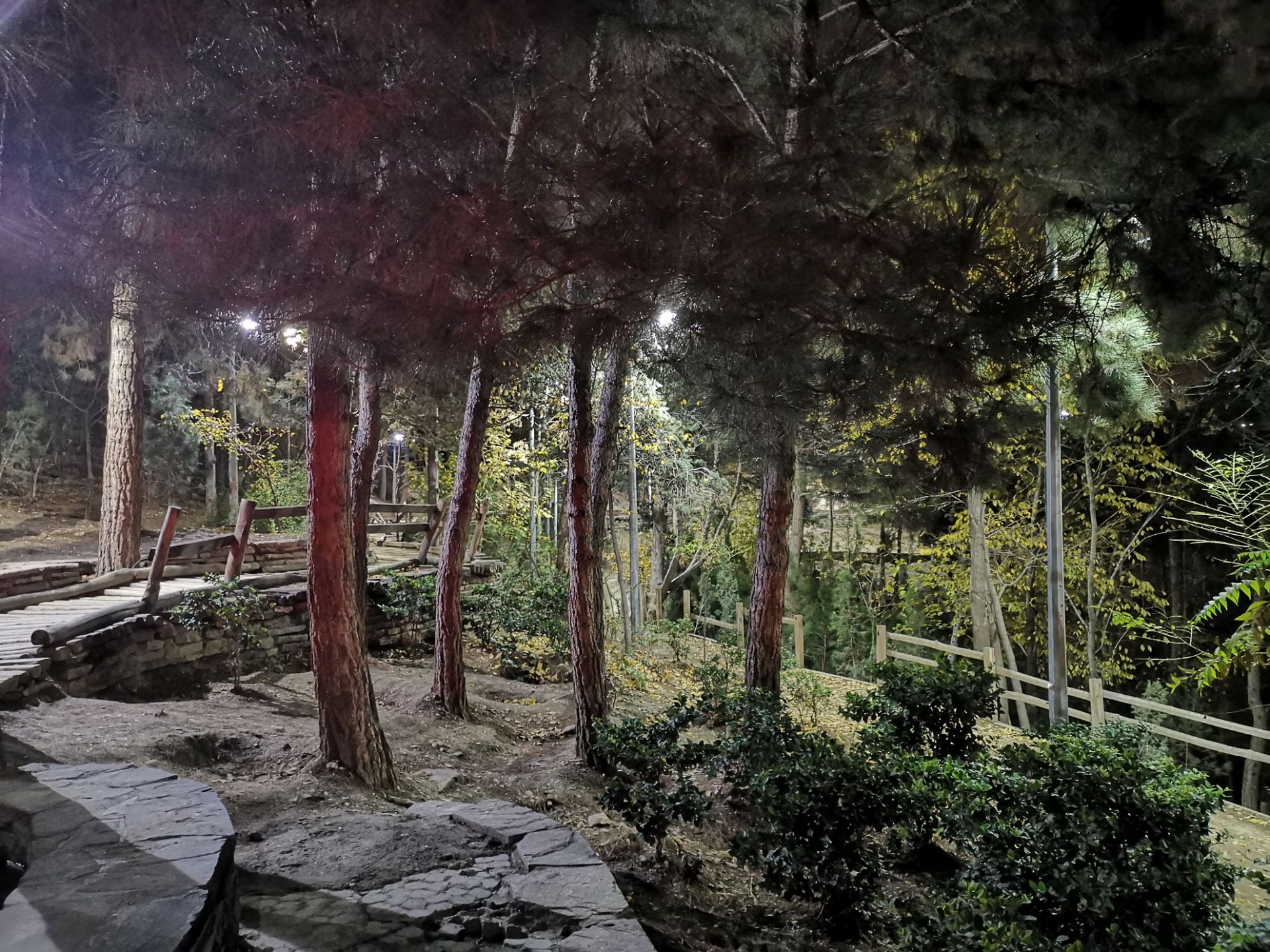 نمونه عکس شب میت ۲۰