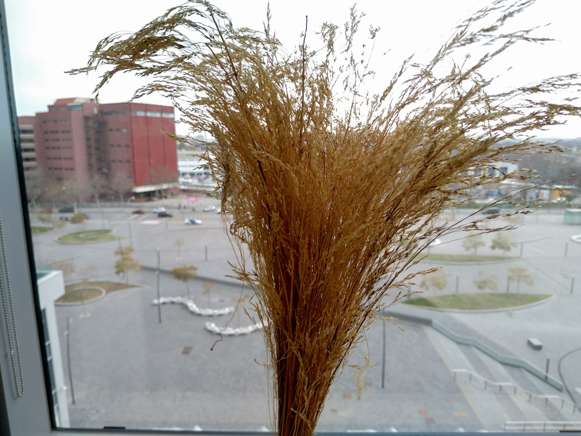 نمونه عکس دوربین ذن فون ۵ ایسوس