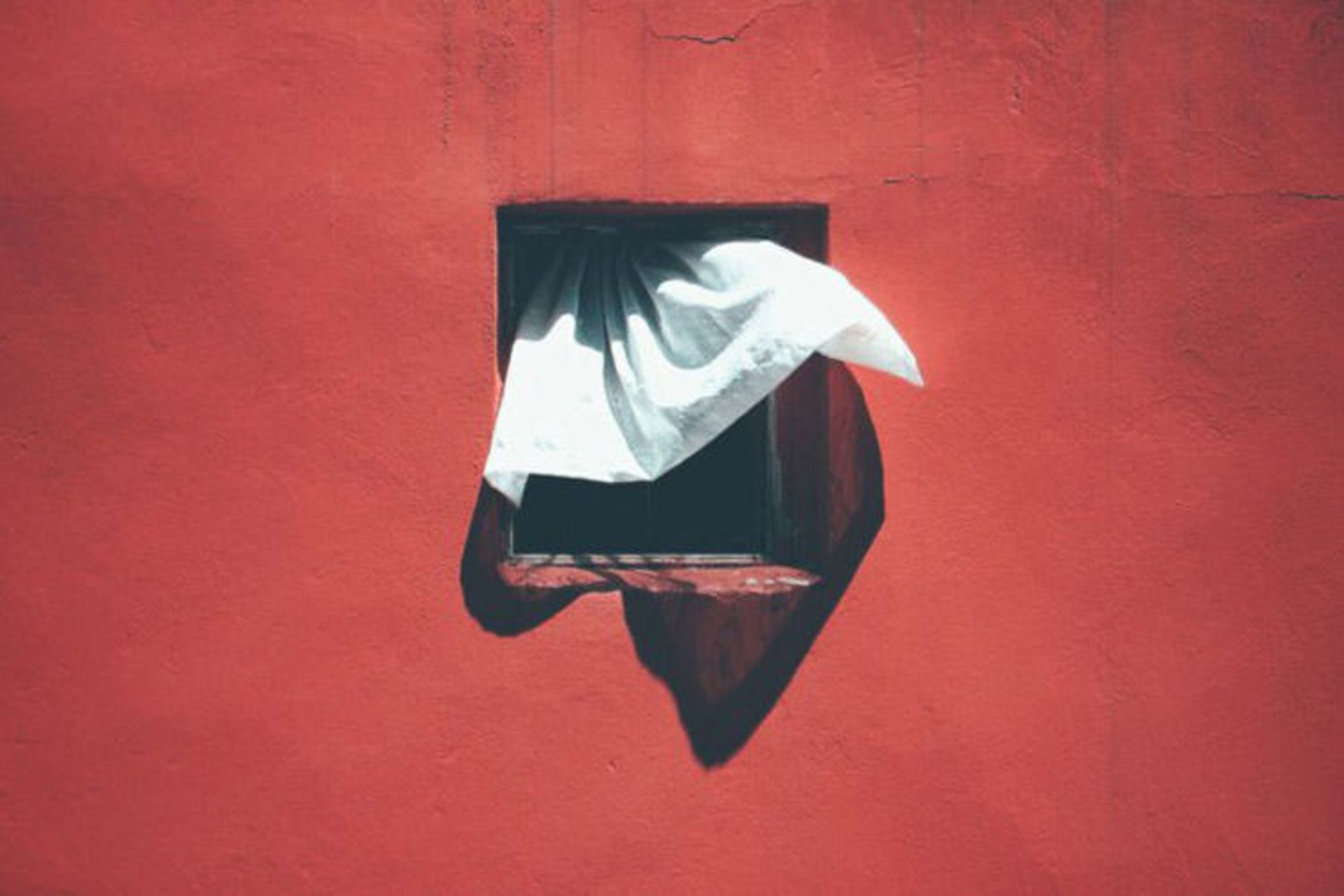 12 سال عکاسی از یک پنجره