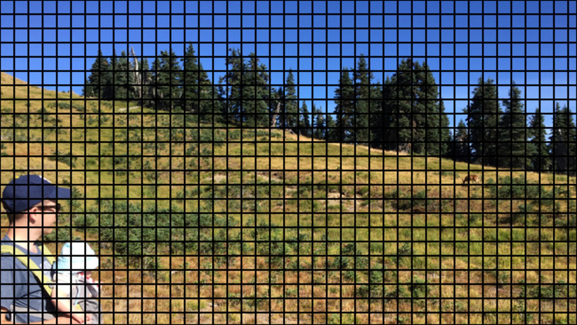 کدگذاری HEVC/H.265