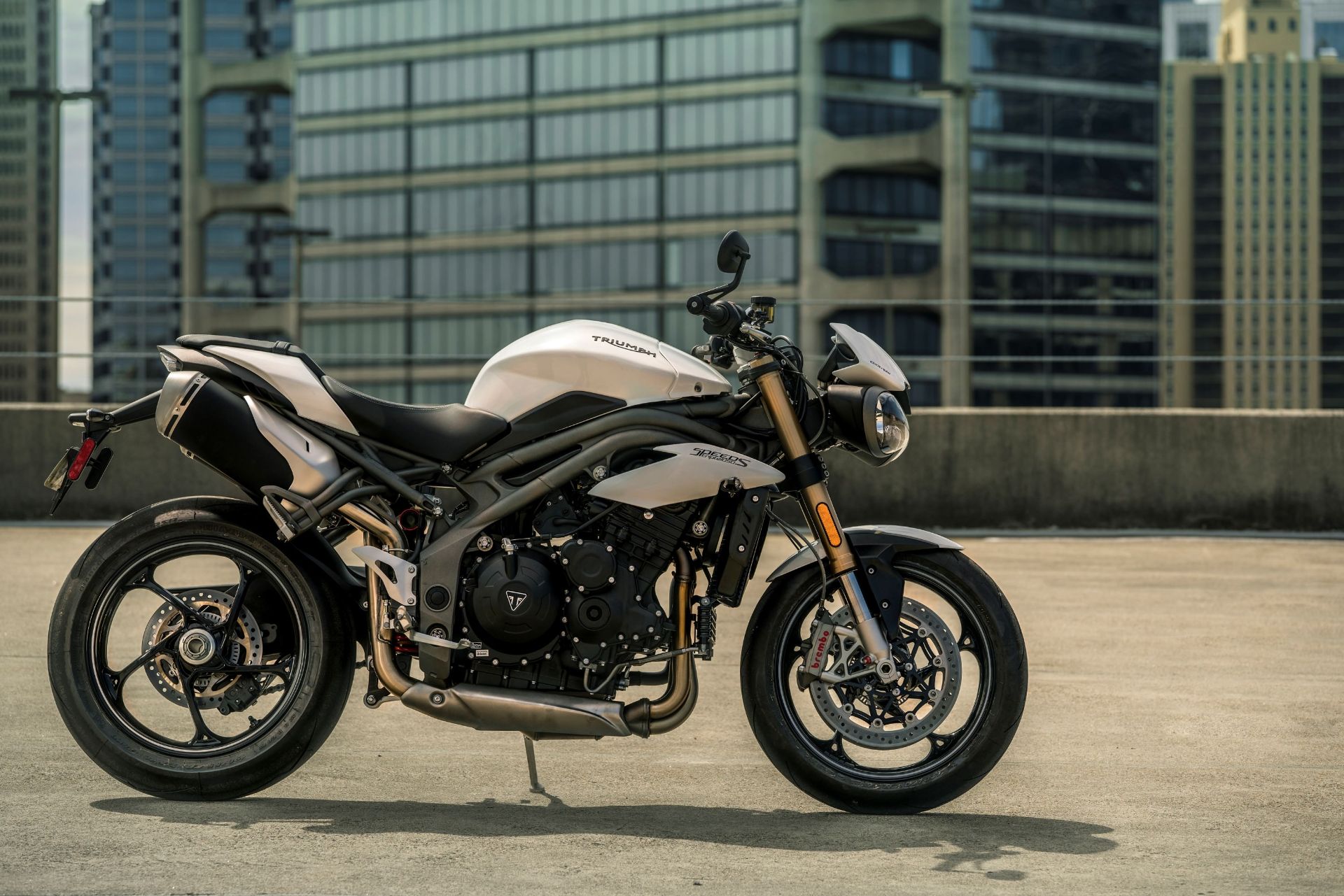 تریومف اسپید تریپل 2018 / Triumph Speed Triple S & RS