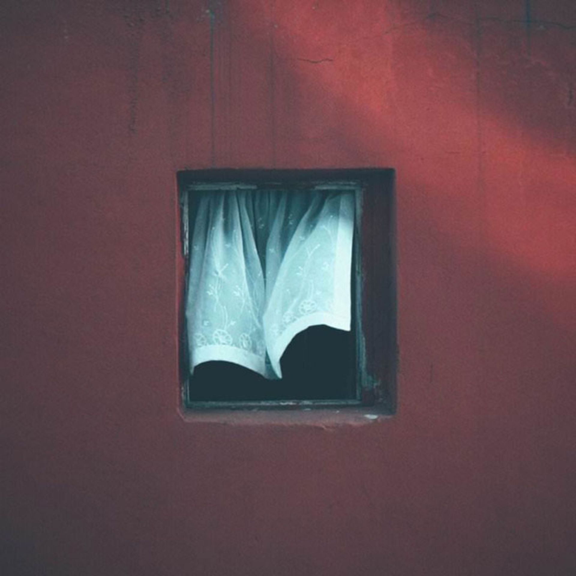 12 سال عکاسی از یک پنجره