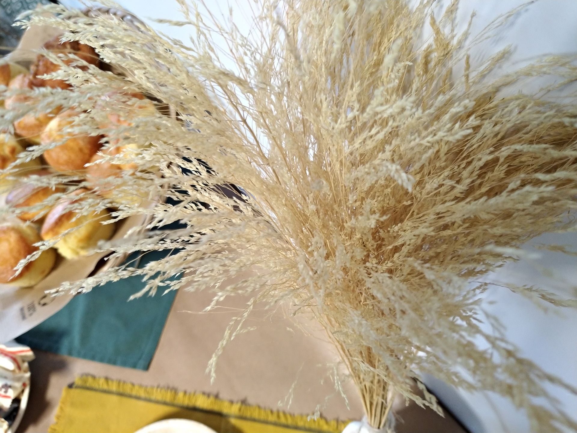 نمونه عکس دوربین ذن فون ۵ ایسوس