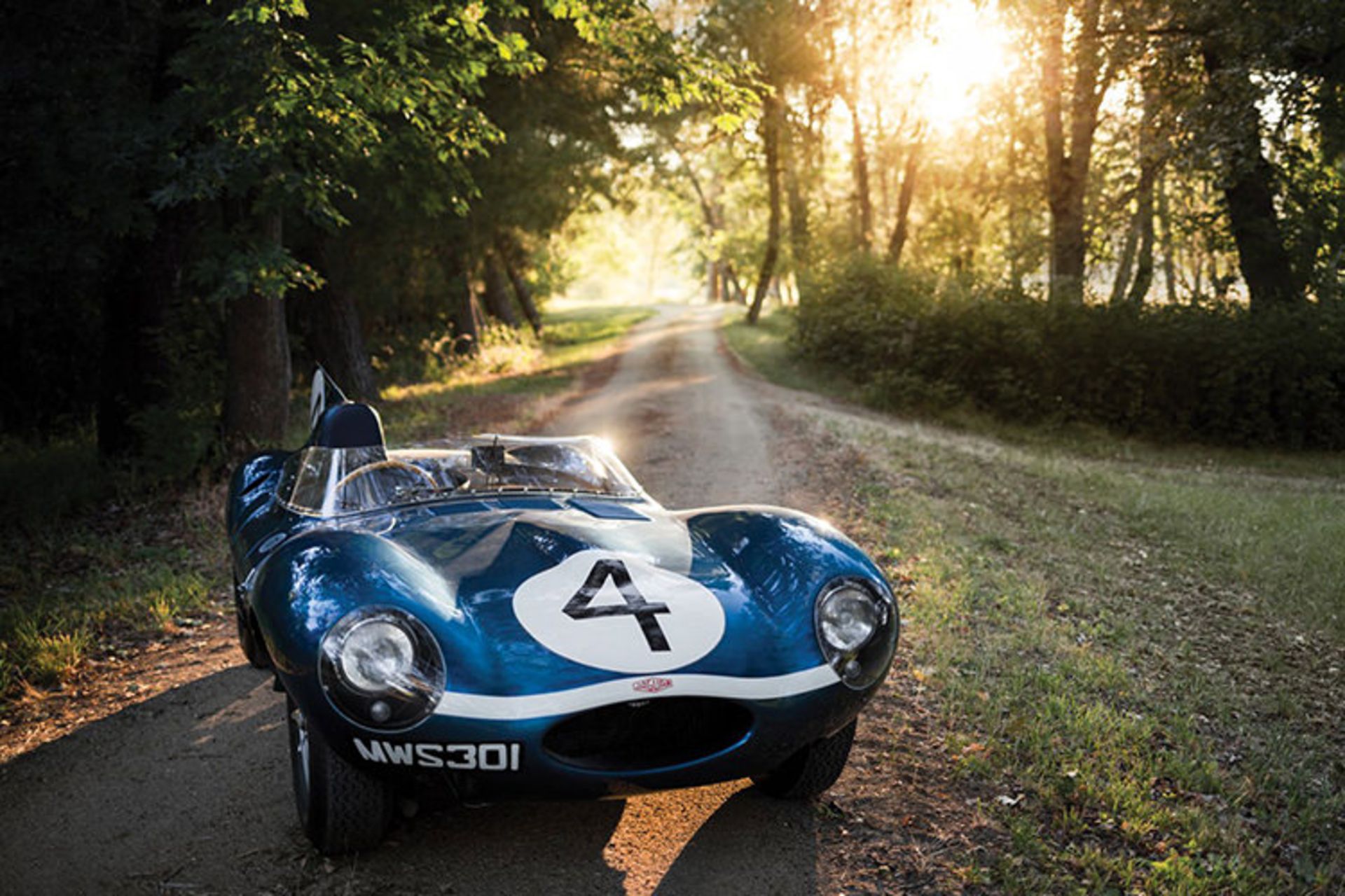 Jaguar D-Type / جگوار دی تایپ