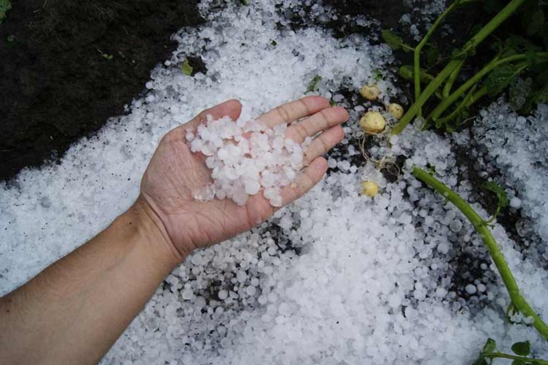 پیش‌بینی بارش تگرگ 