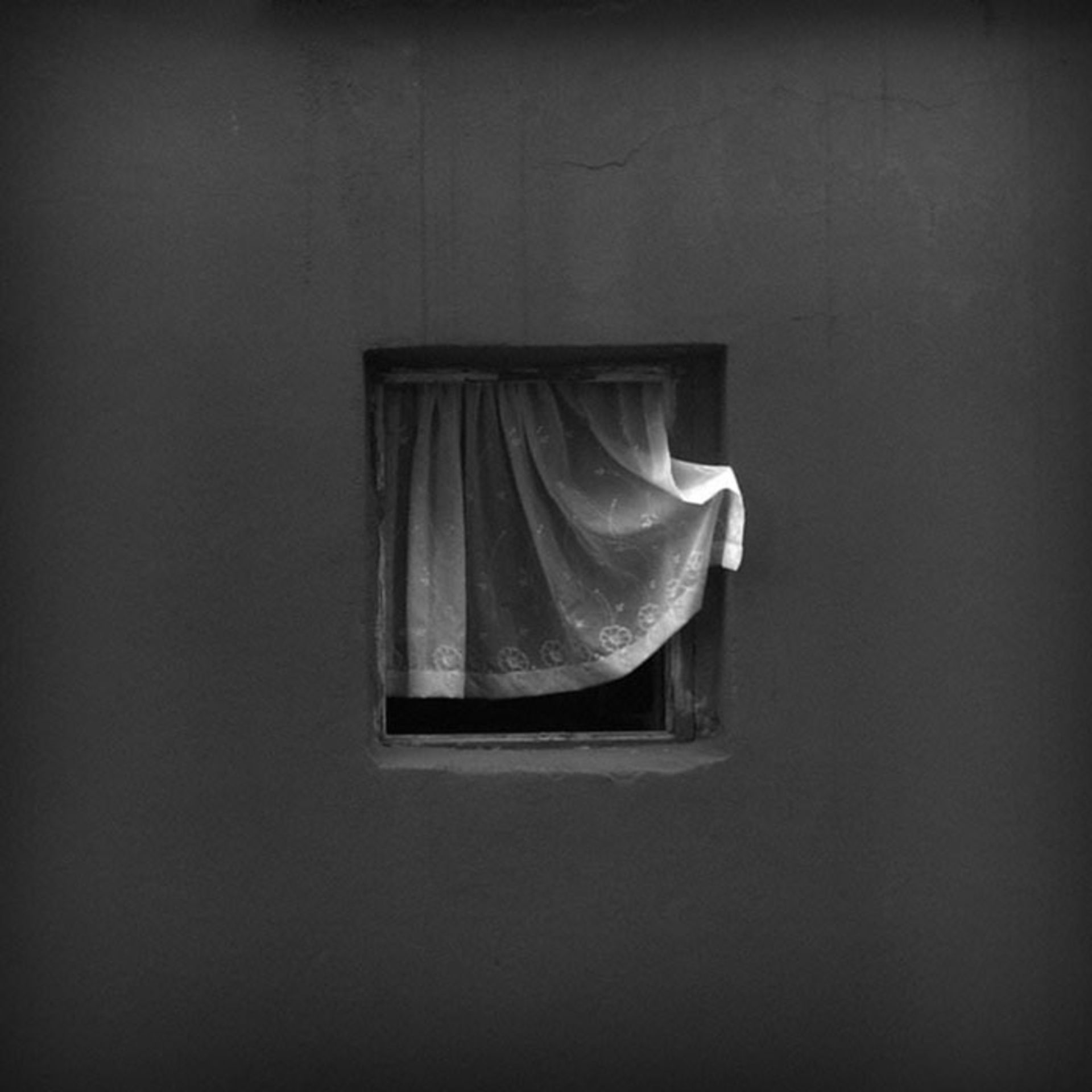 12 سال عکاسی از یک پنجره