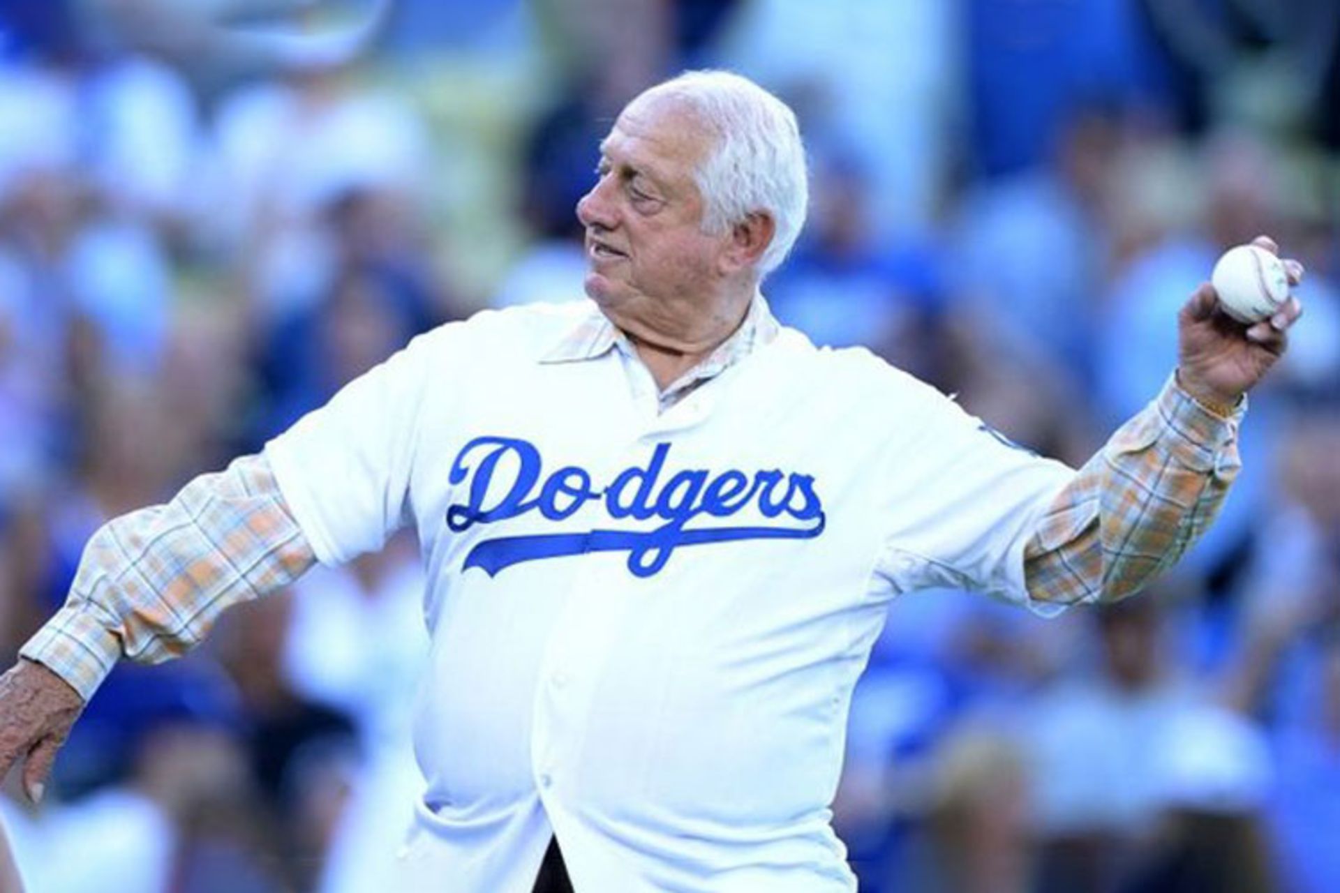 تامی لاسوردا