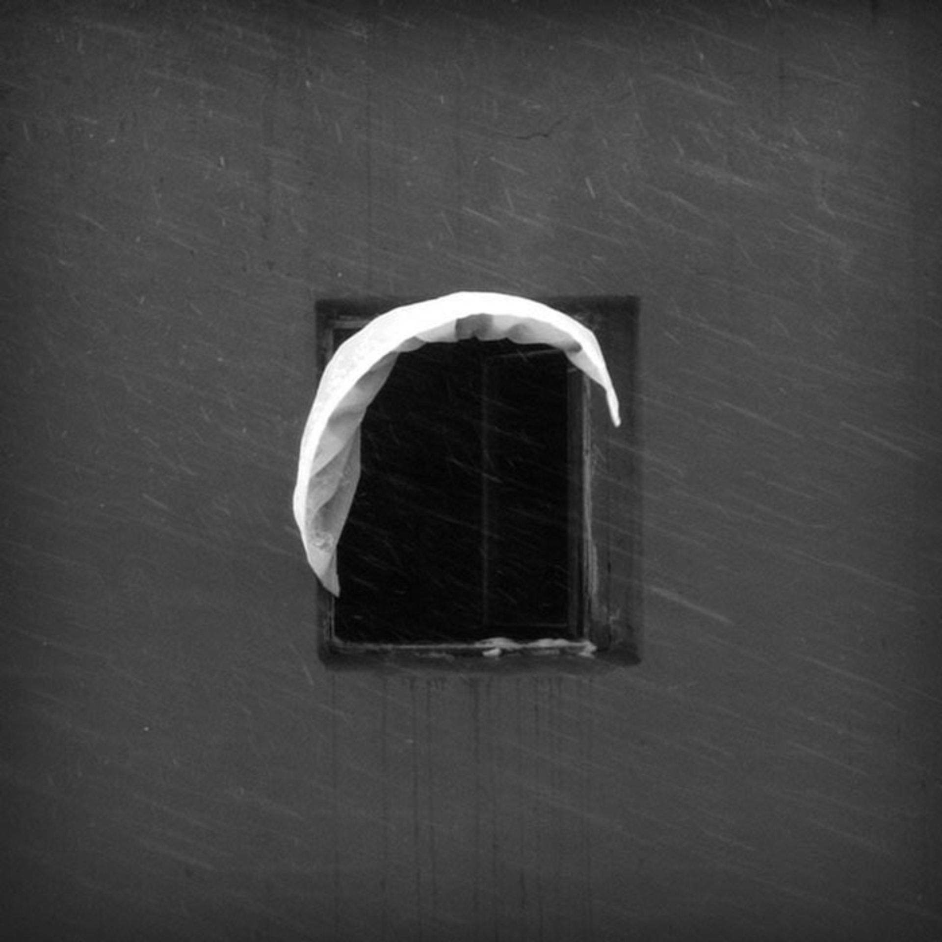 12 سال عکاسی از یک پنجره