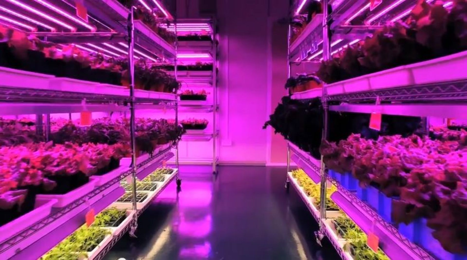 کشاورزی با نور ال‌ای‌دی/ Indoor farming