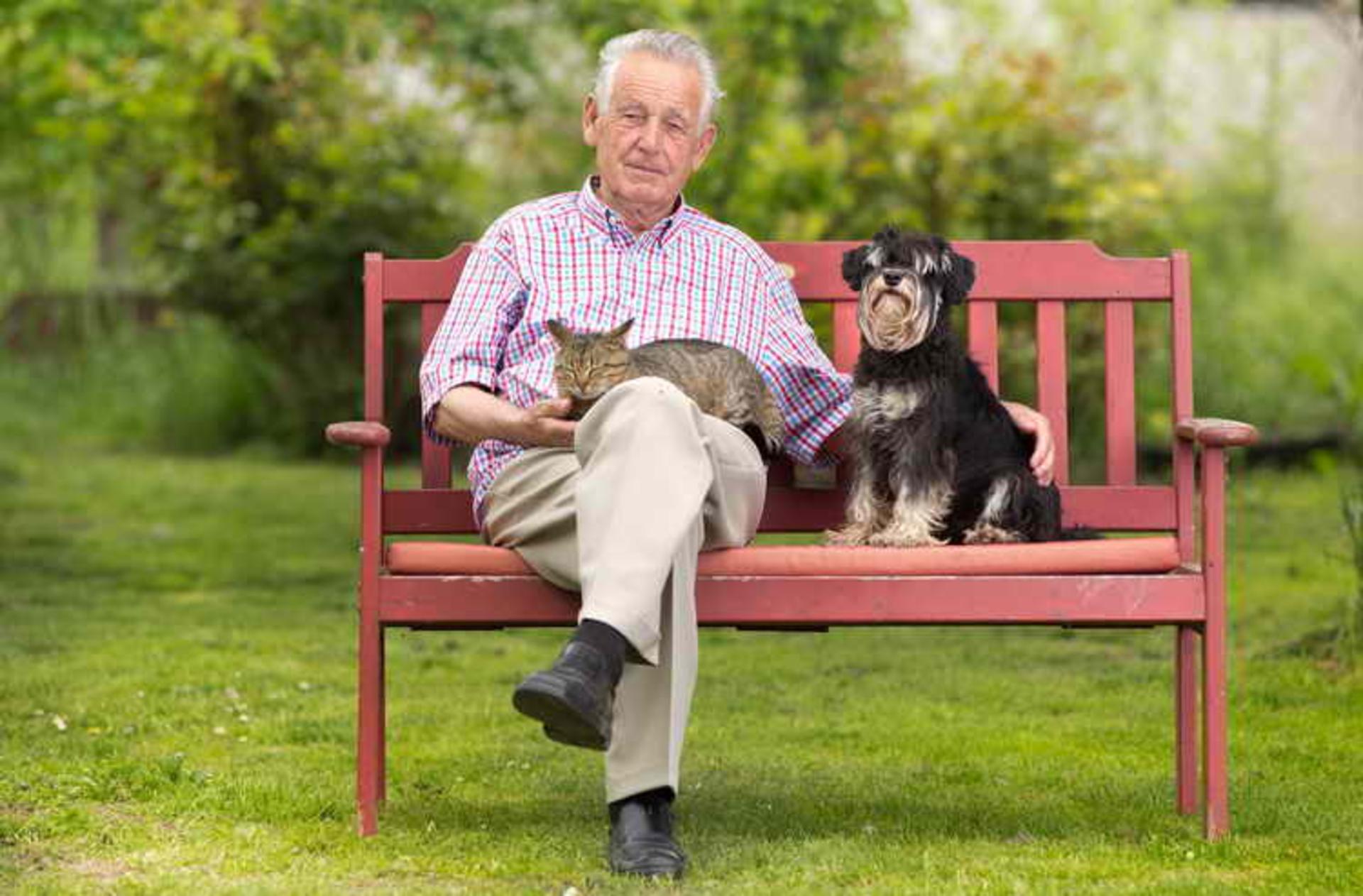 Pet care