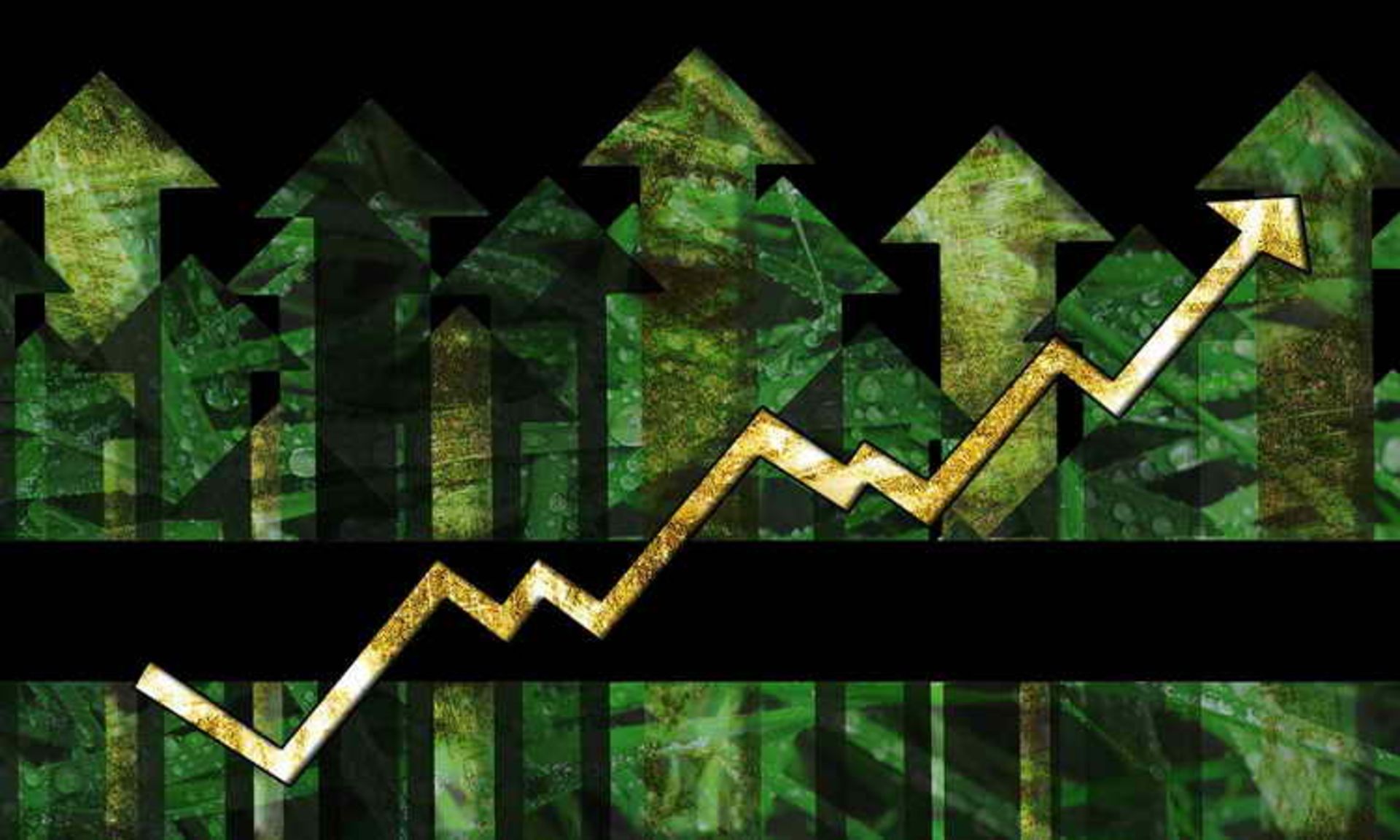 Hypergrowth-Stage Company