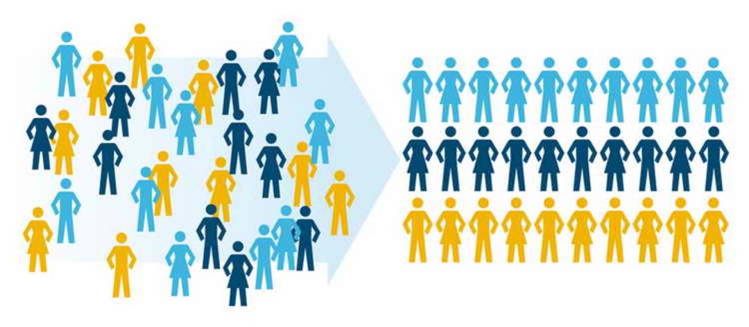 Segmentation