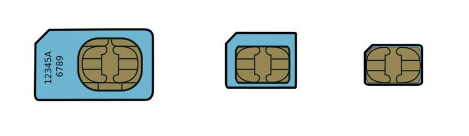 Standard Sim vs Micro vs Nano