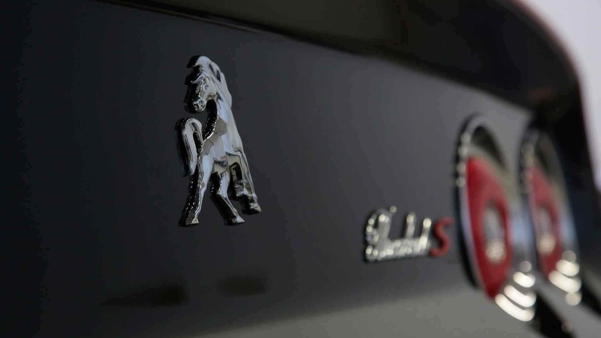 اکوئس تروبک / Equus Throwback